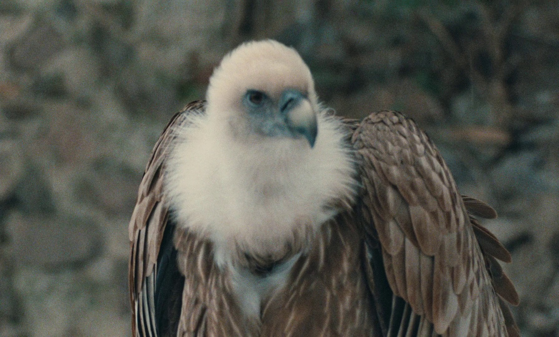 Agent trouble (1987) —  shot,  lighting