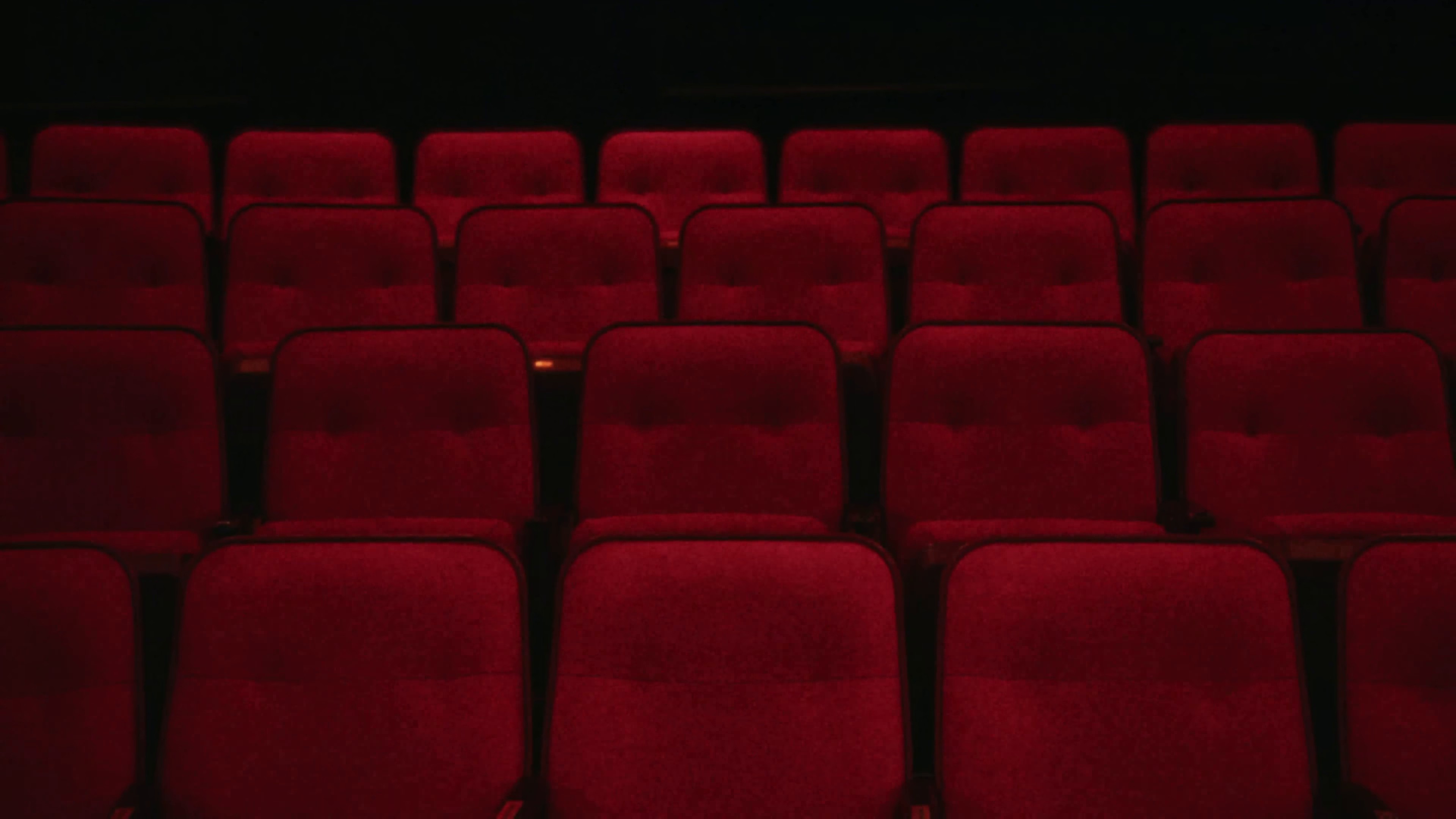 Cactus Water (2024) —  shot,  lighting