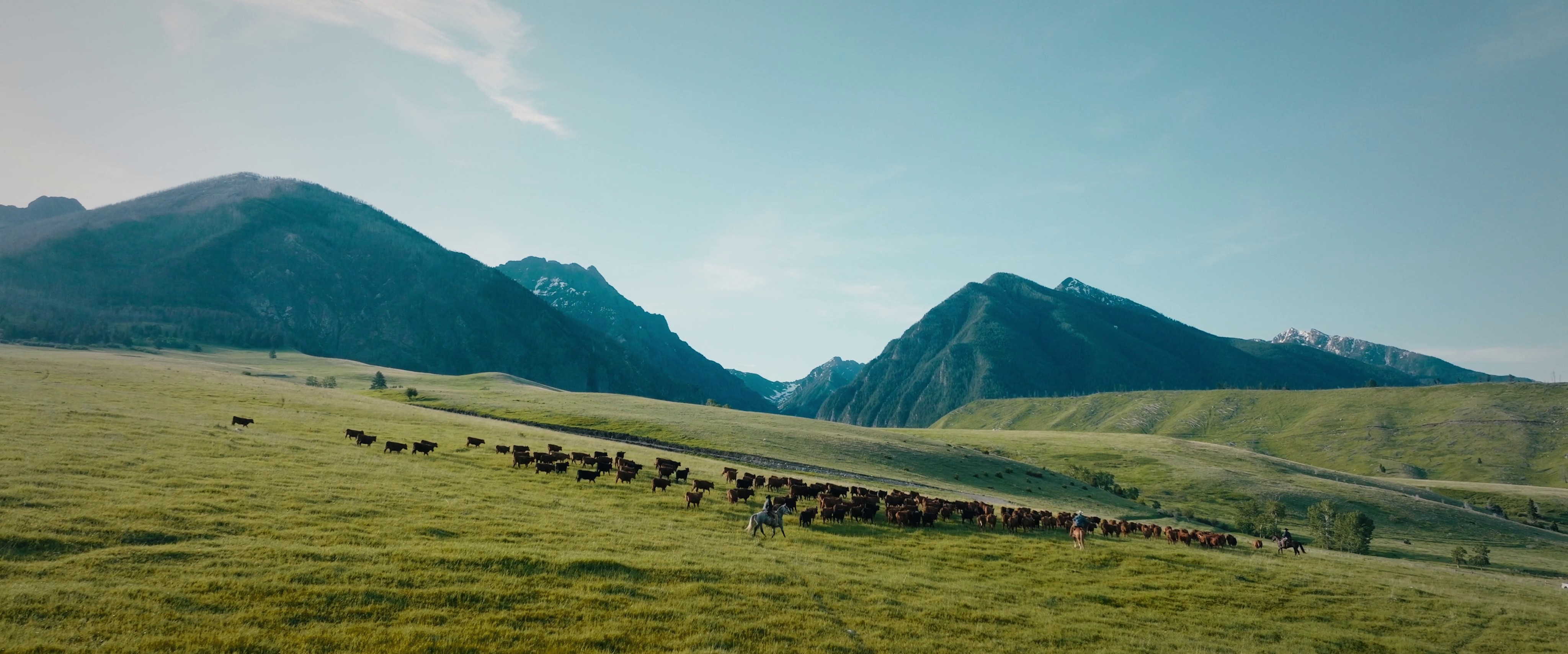 Resistol | It's In Our Blood (2024) —  shot,  lighting