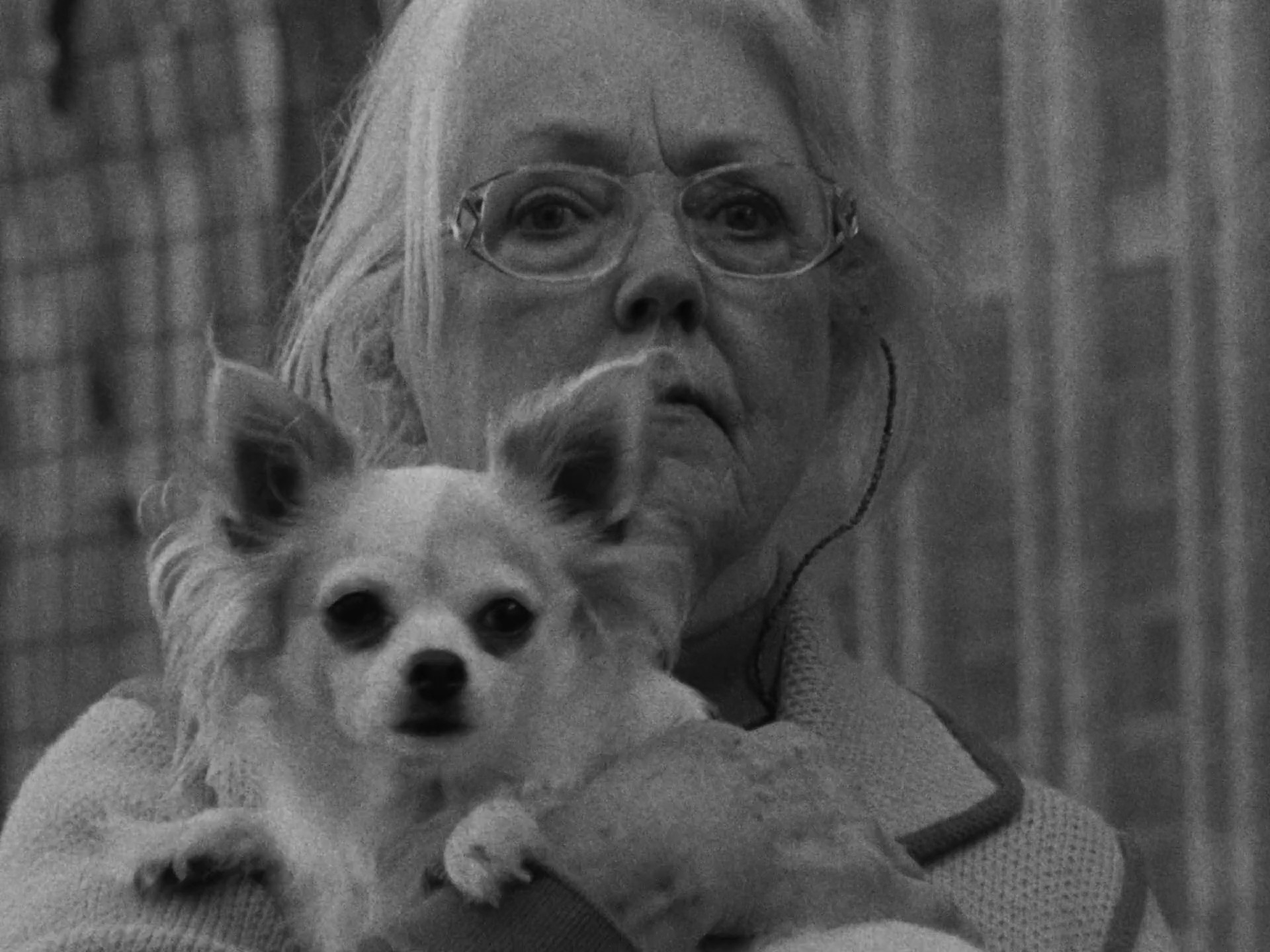 SiriusXM | The Metal Sweater (2023) —  shot,  lighting