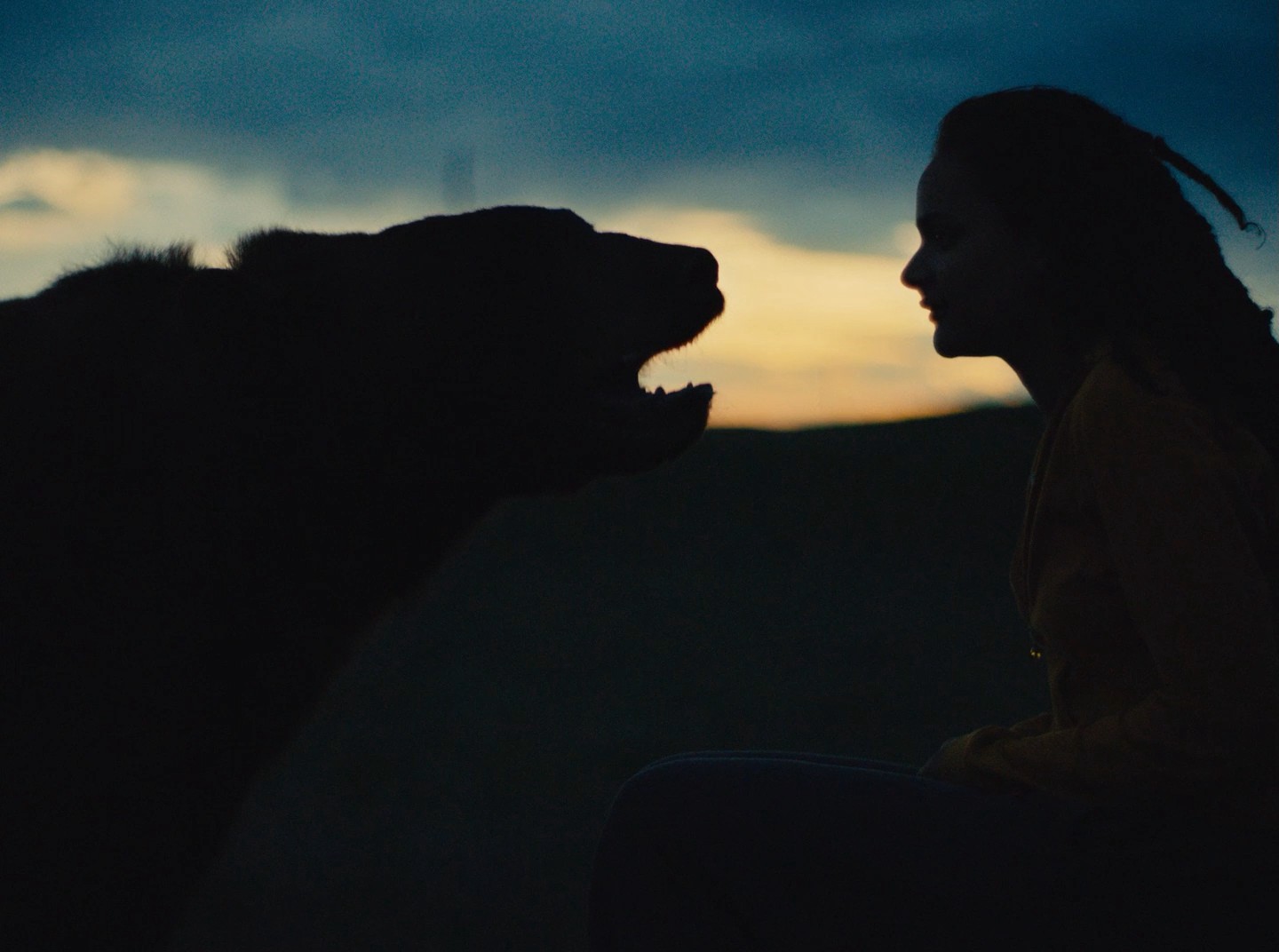 American Honey (2016) —  shot,  lighting