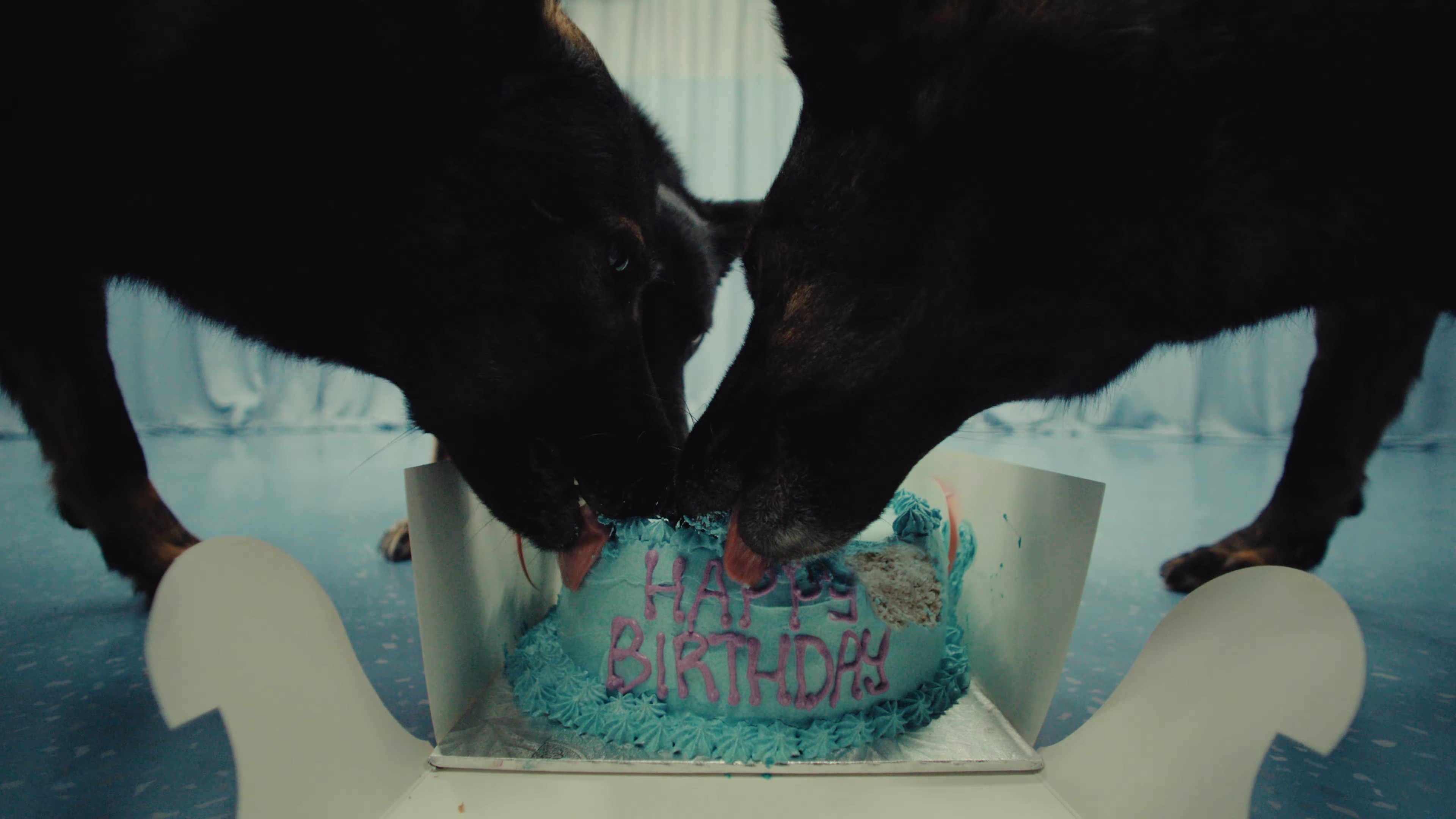 SickKids 150: The Count (2025) —  shot,  lighting