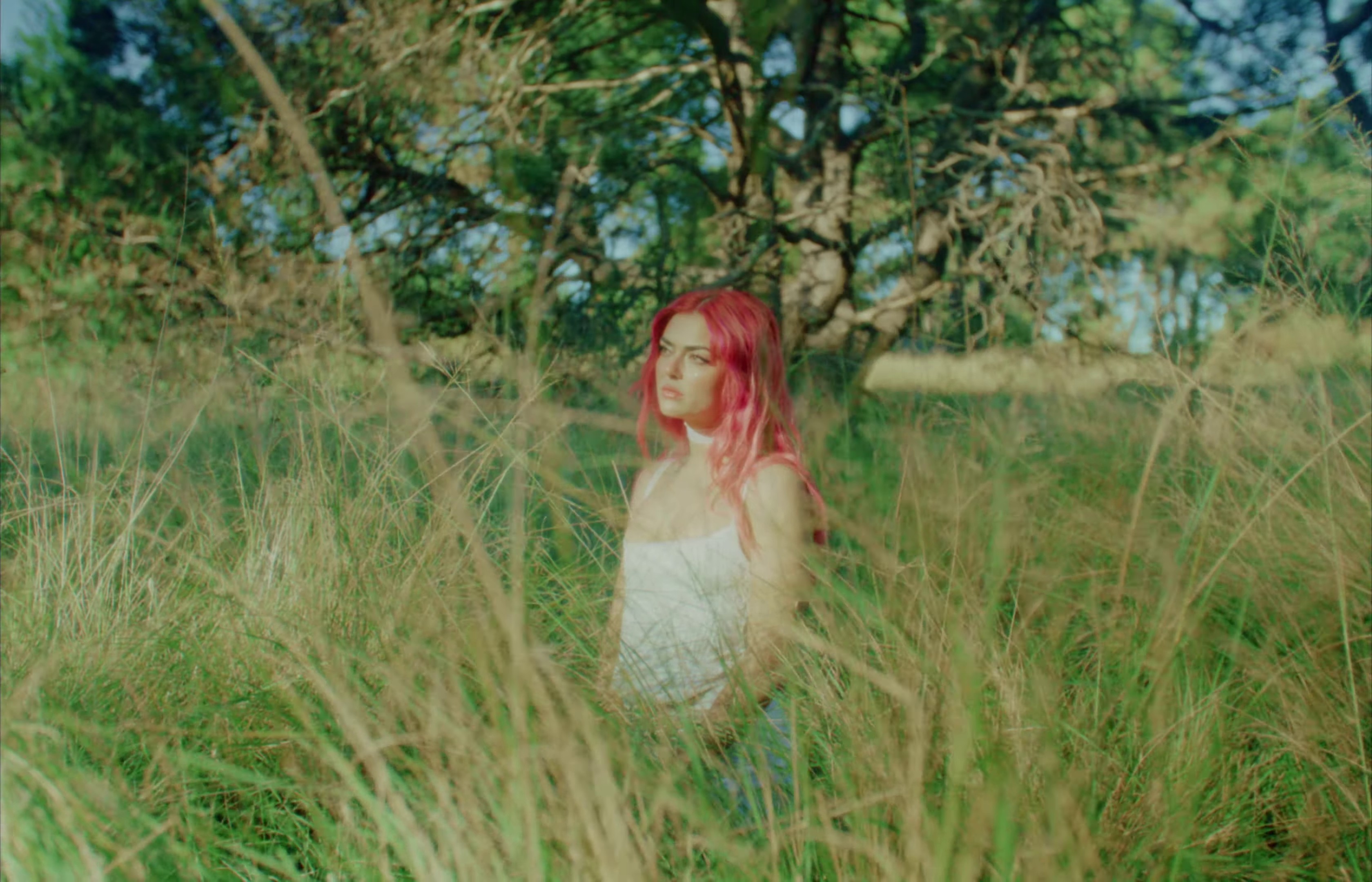 Running Wild  (2023) —  shot,  lighting