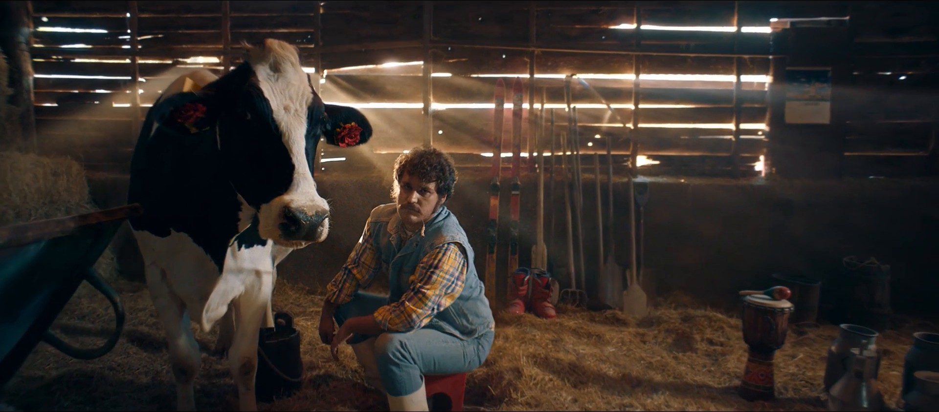 CHOCO JOY - FARMER (2020) —  shot,  lighting