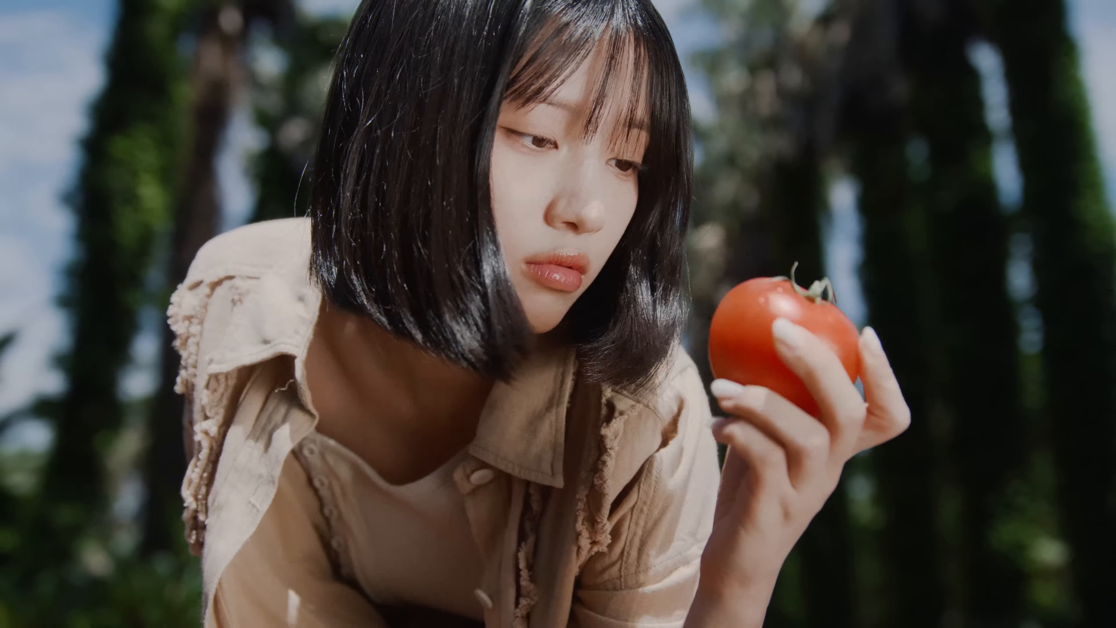 피가 모자라  (2025) —  shot,  lighting