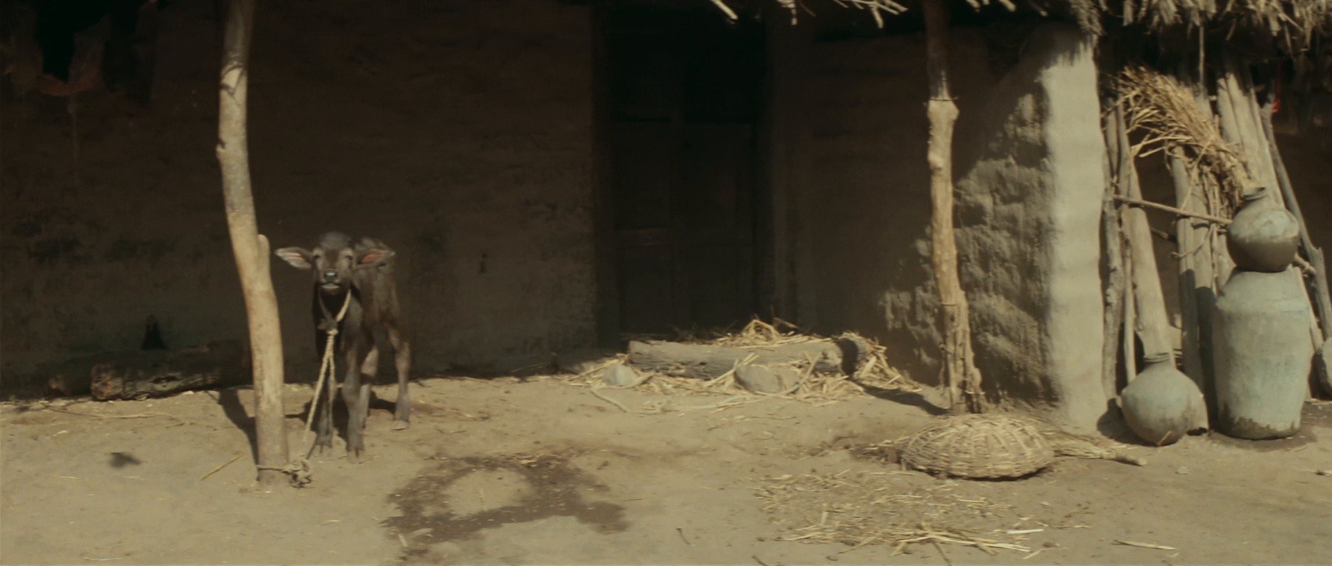 The Village Had No Walls (1996) —  shot,  lighting