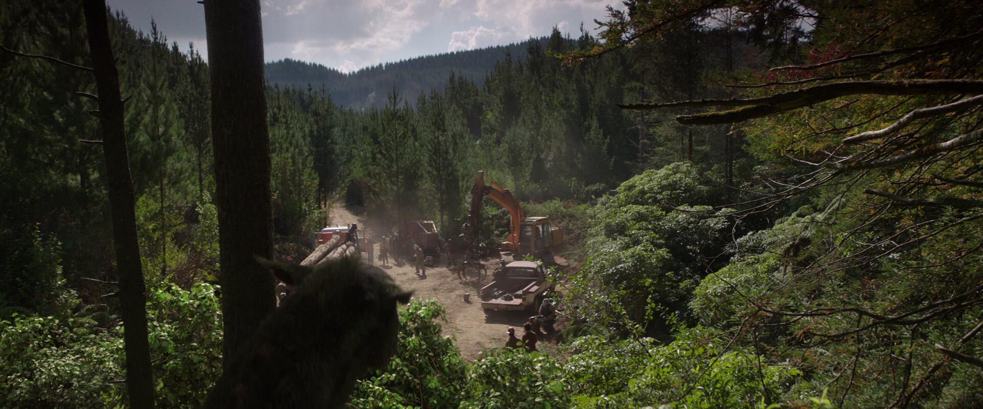 Pete's Dragon (2016) —  shot,  lighting