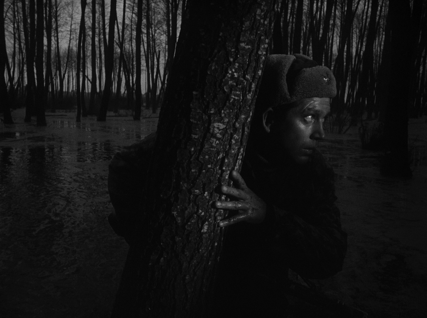 My Name Is Ivan (1962) —  shot,  lighting