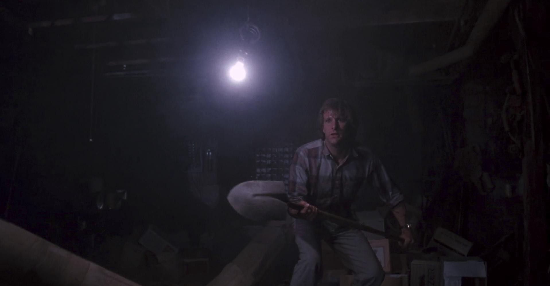 Arachnophobia (1990) —  shot,  lighting