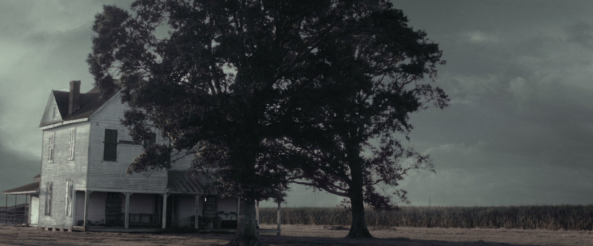 Maggie (2015) —  shot,  lighting