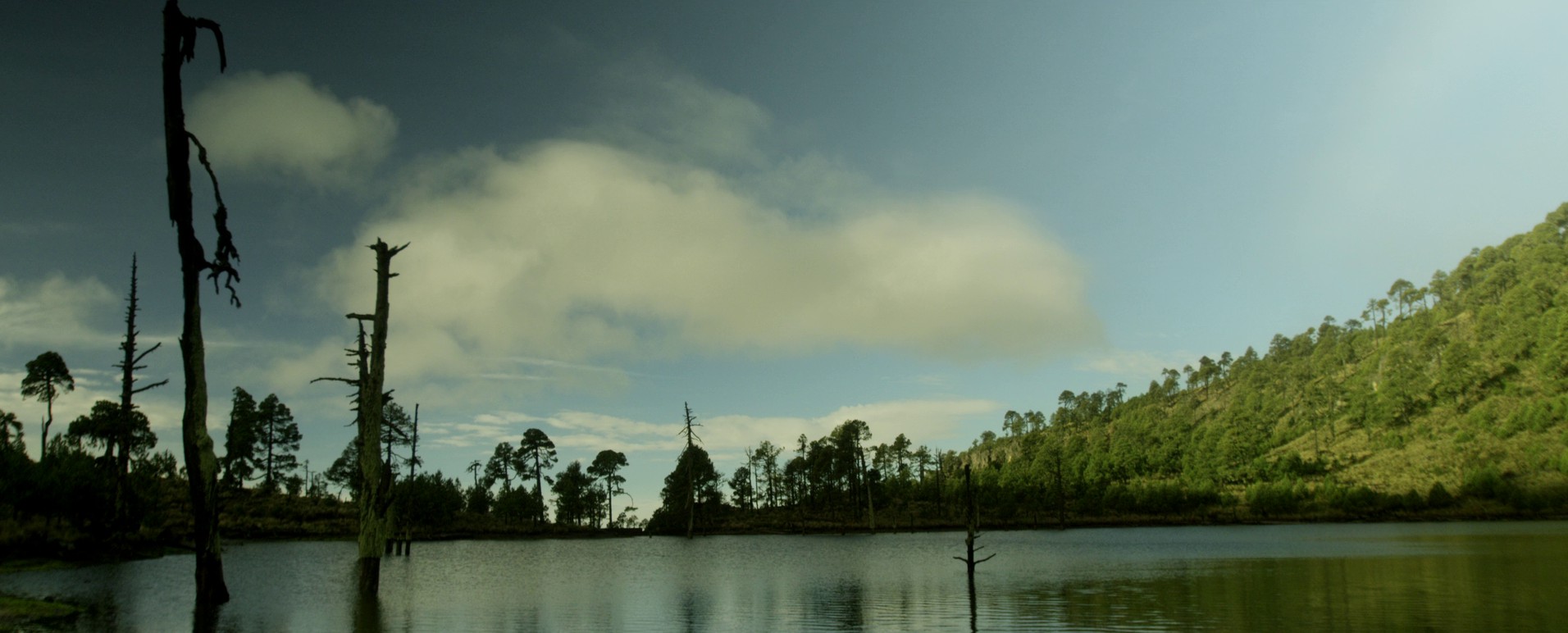 Dis (2018) —  shot,  lighting