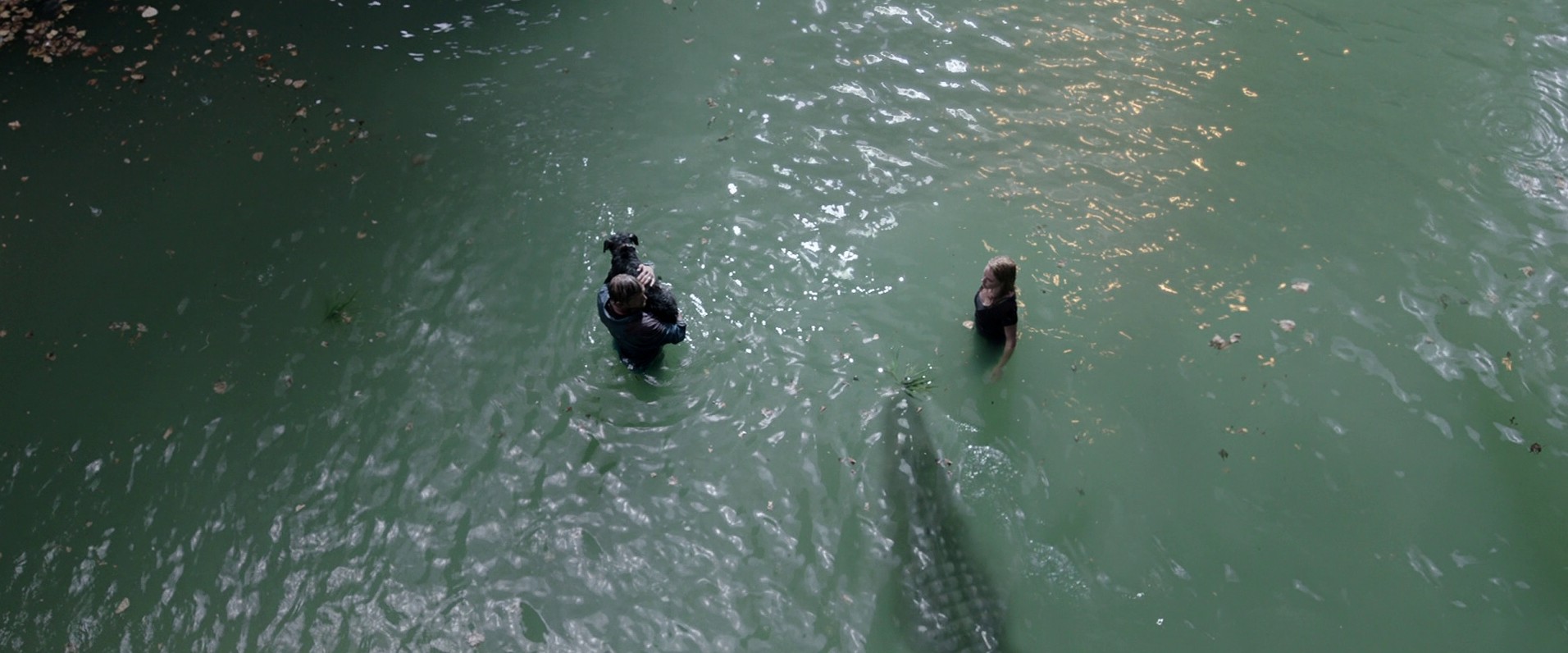 Crawl (2019) —  shot,  lighting