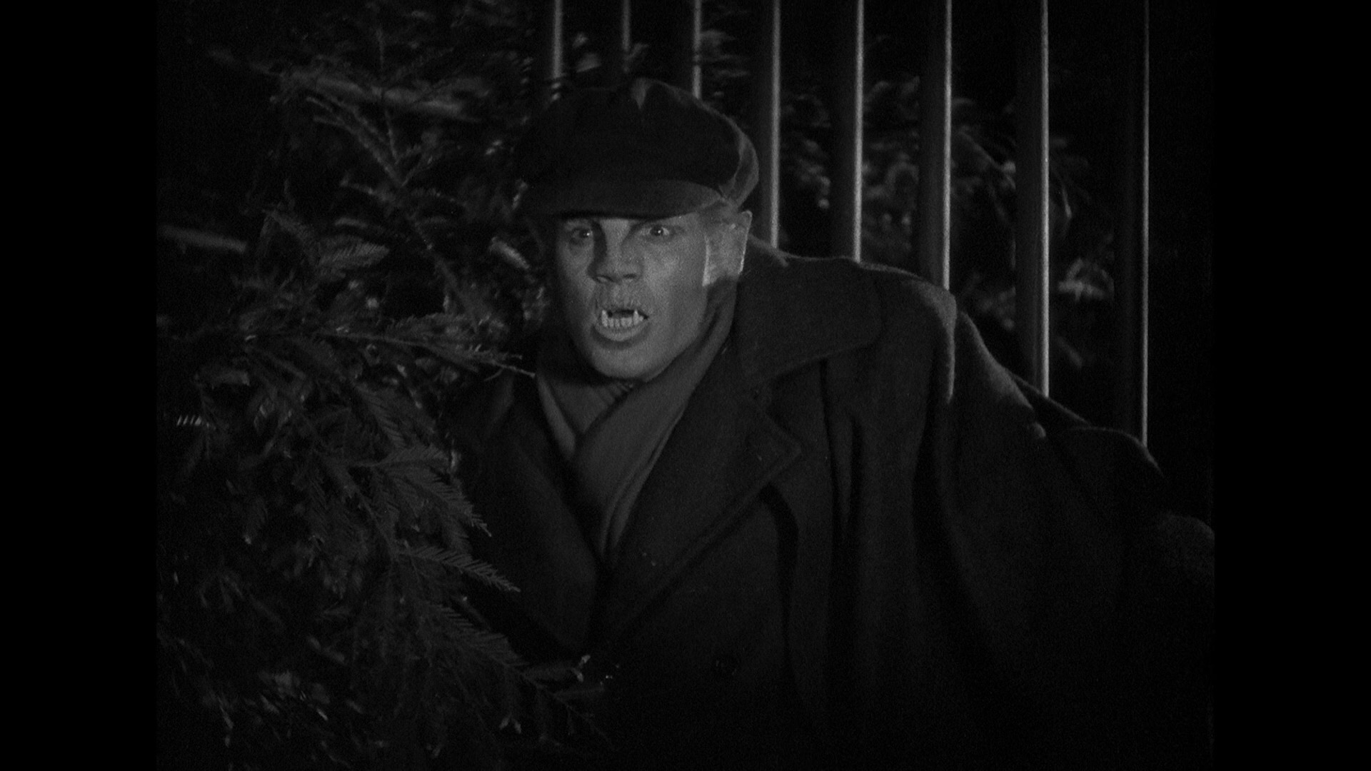 Werewolf of London (1935) —  shot,  lighting
