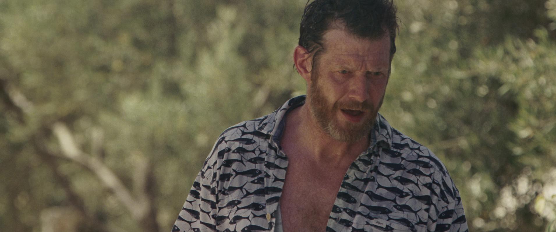 Hanna (2011) —  shot,  lighting