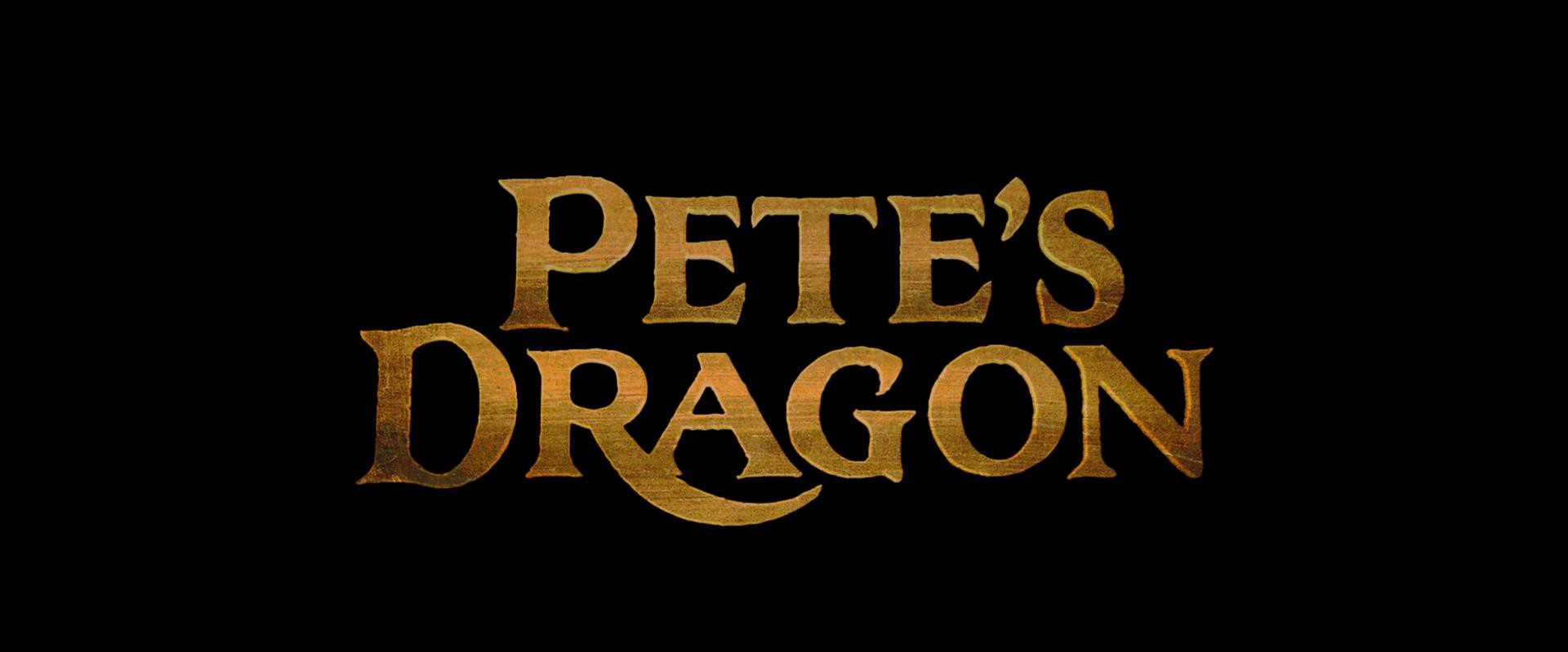 Pete's Dragon (2016) —  shot,  lighting