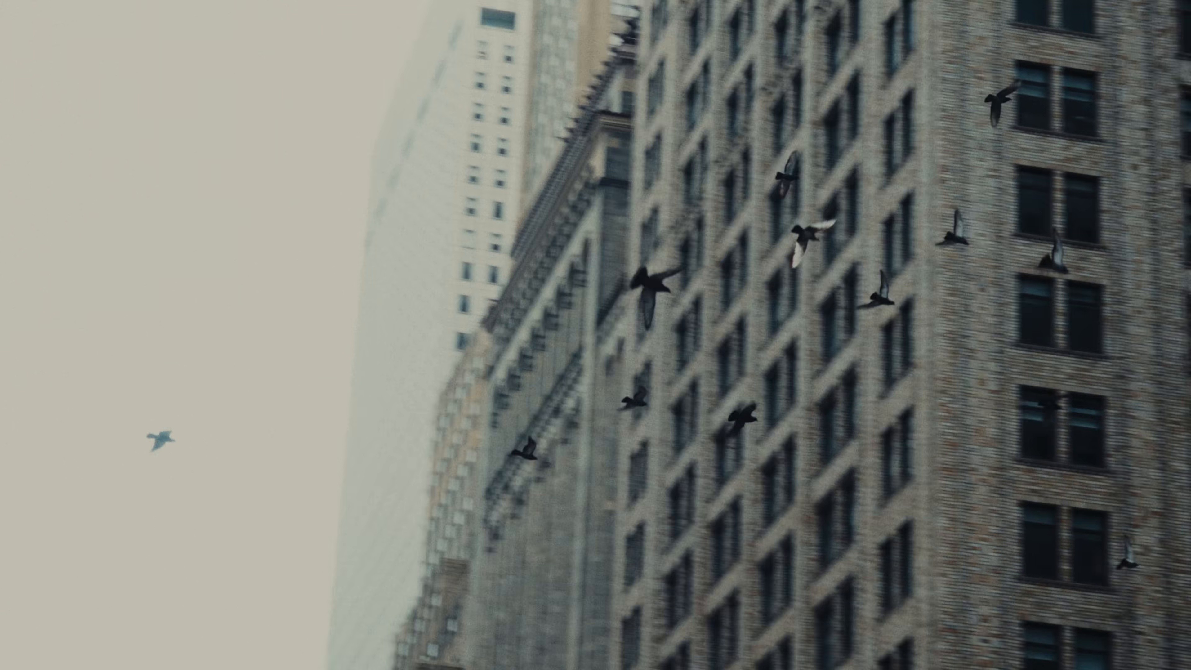 Mía (2025) —  shot,  lighting