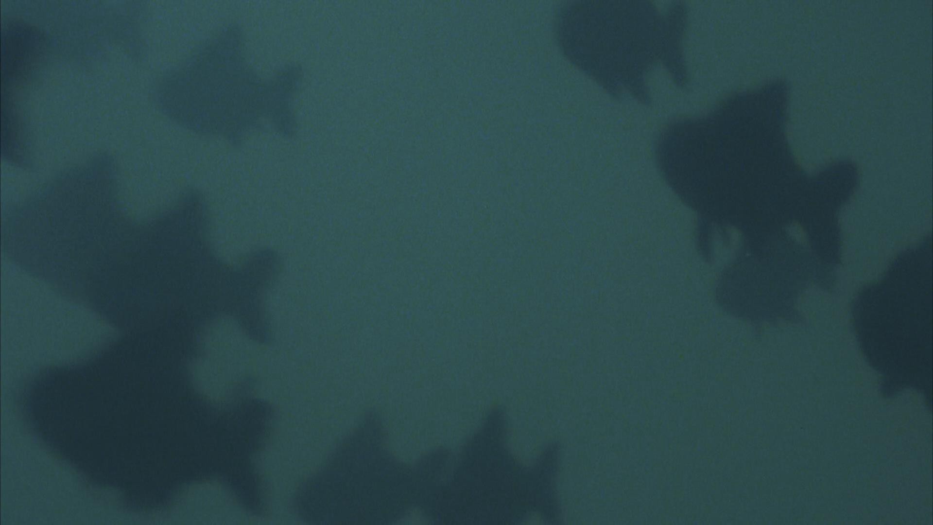 Piranha (1978) —  shot,  lighting