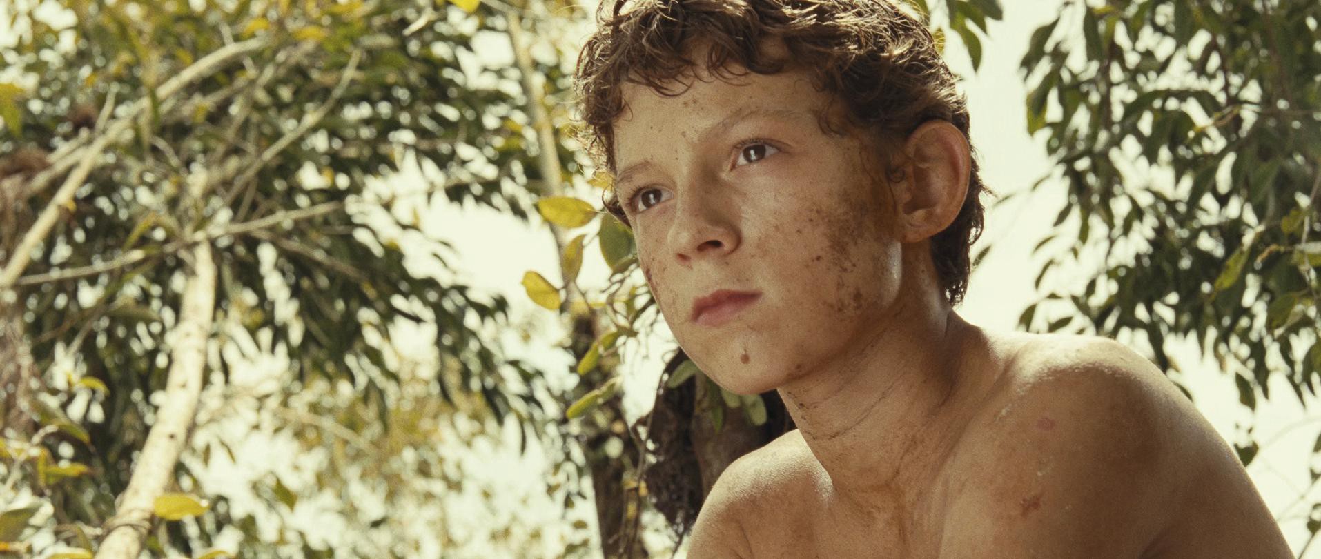 The Impossible (2012) —  shot,  lighting