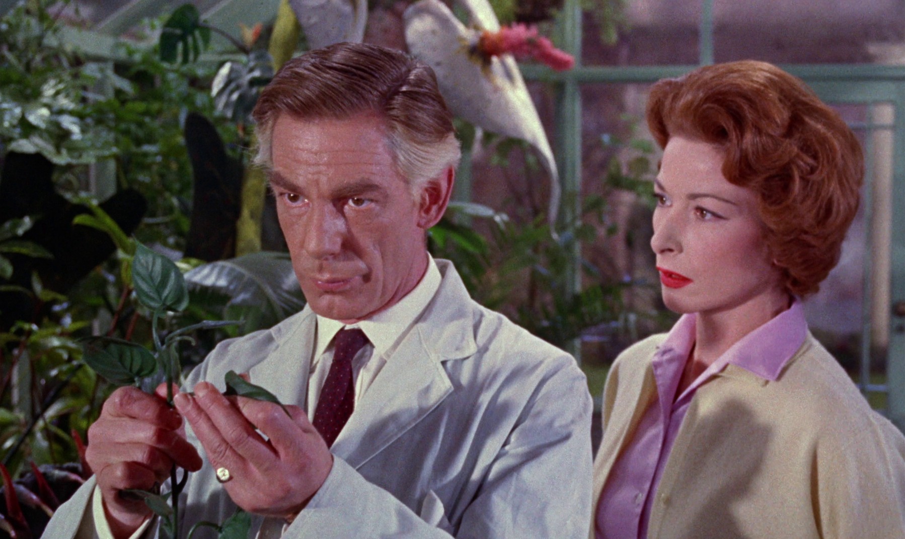 Konga (1961) —  shot,  lighting