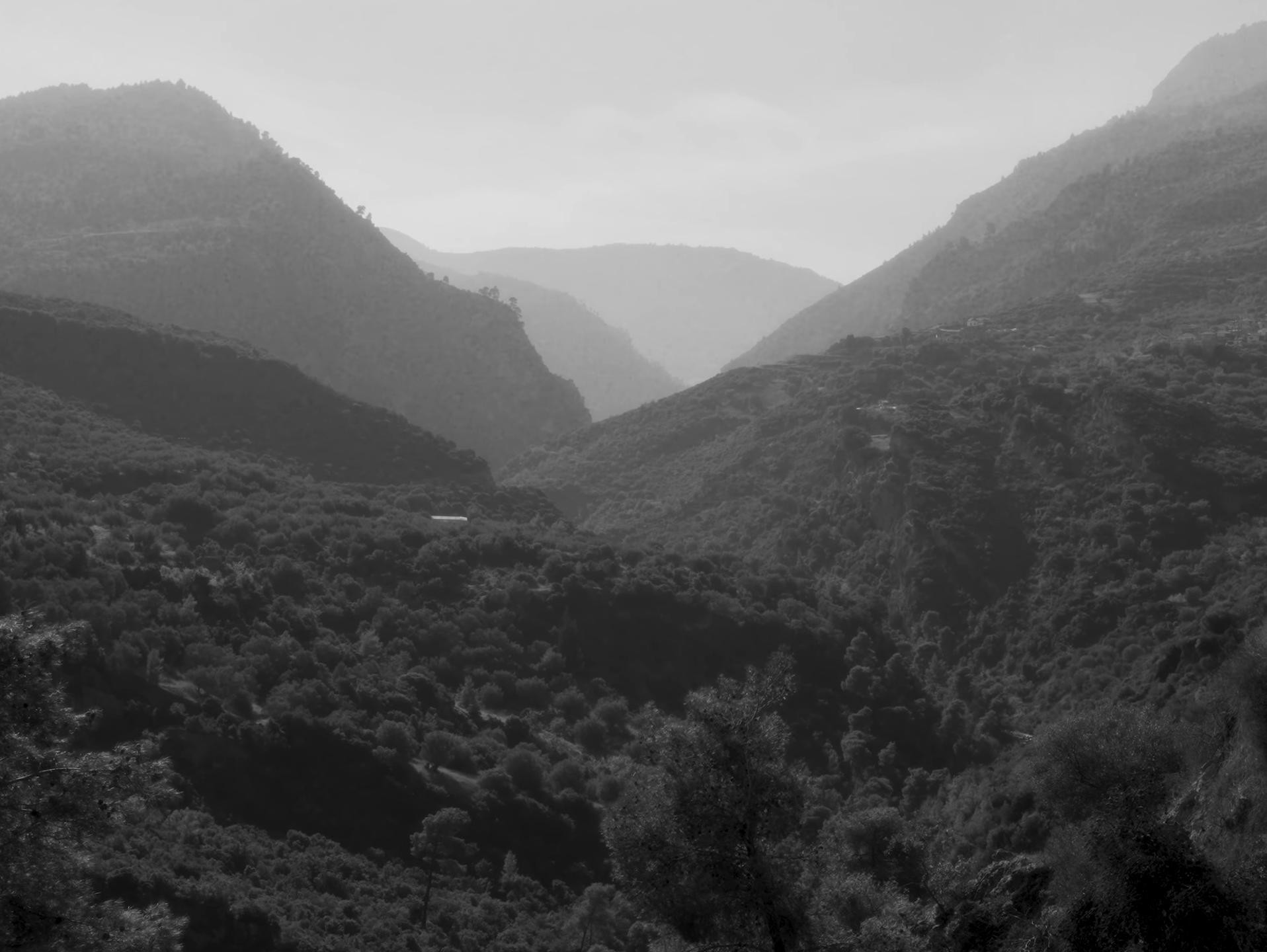 EREBOS (2026) —  shot,  lighting