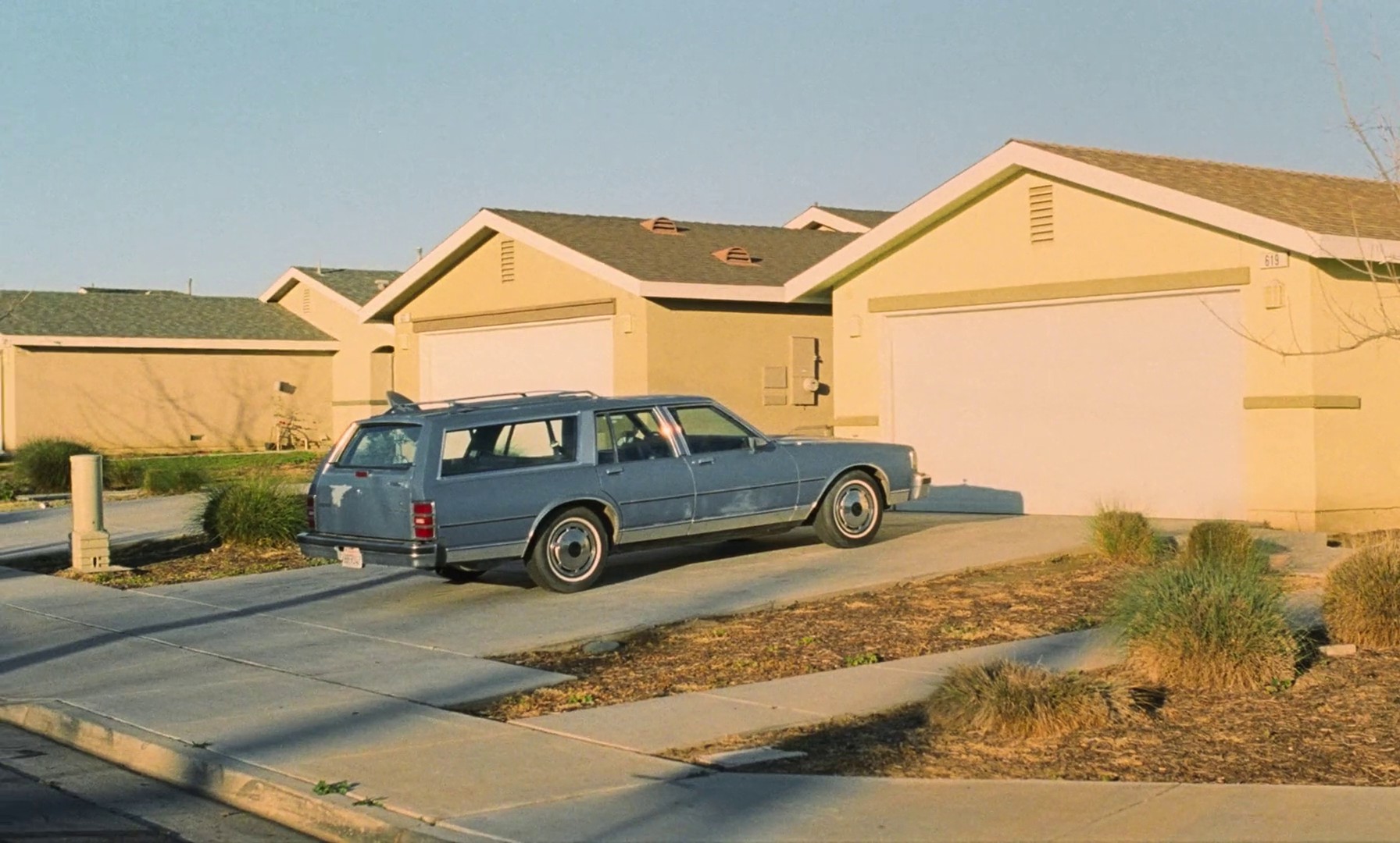 Regrow (2019) —  shot,  lighting