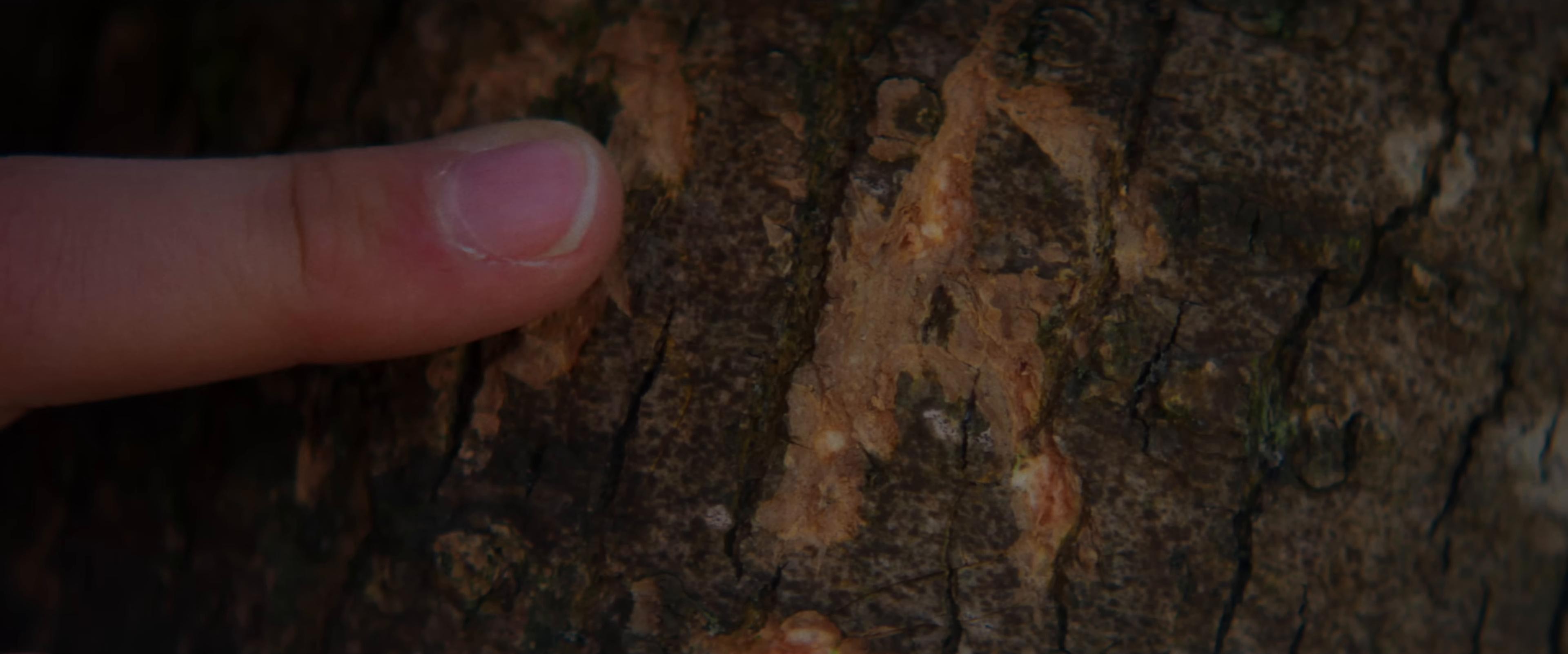 Pirati (2025) —  shot,  lighting