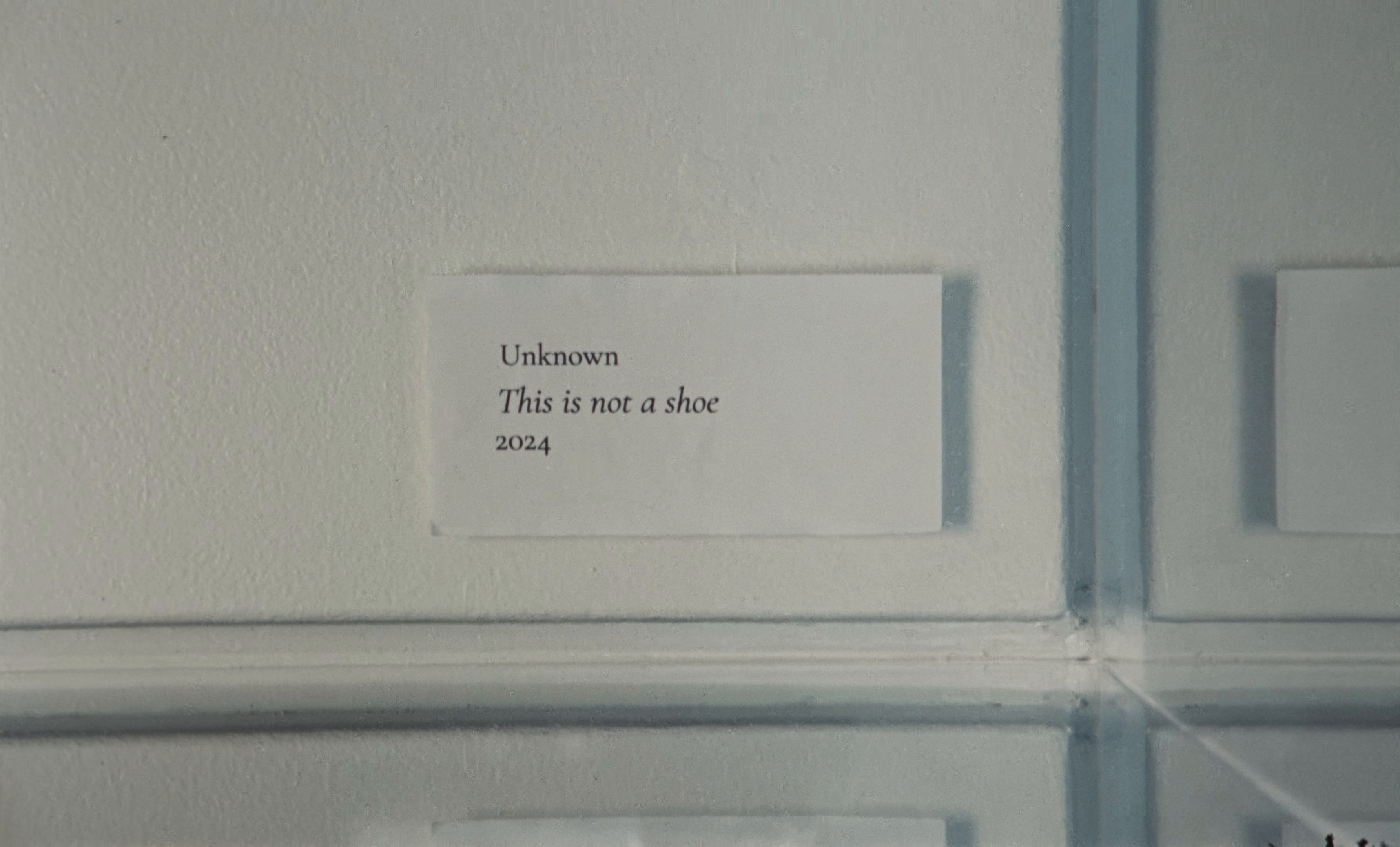 (Isn’t It) Obvious (2024) —  shot,  lighting