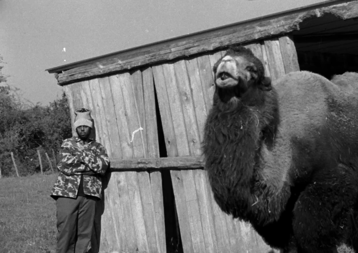 paramount (2025) —  shot,  lighting