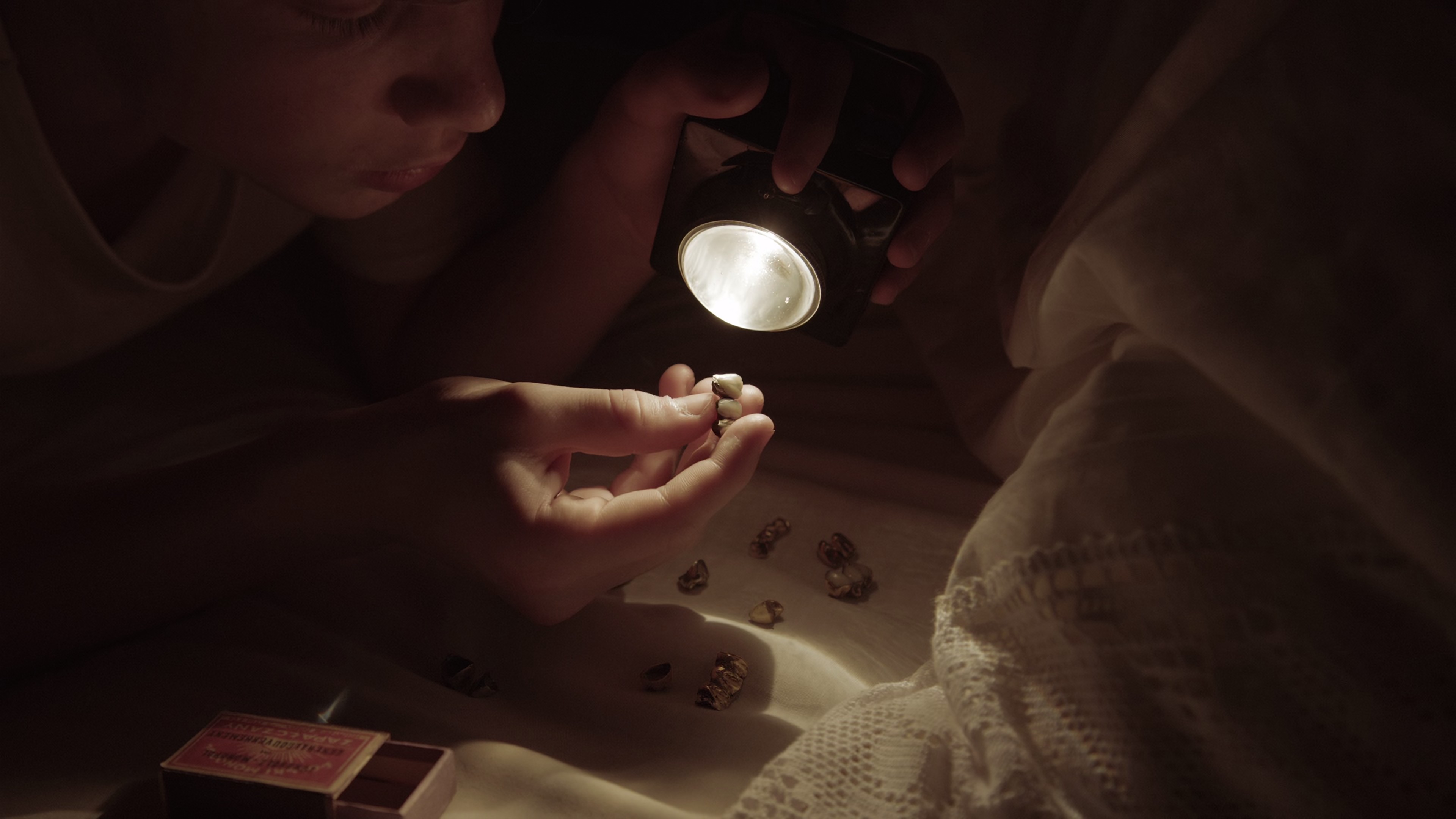 The Zone of Interest (2024) —  shot,  lighting