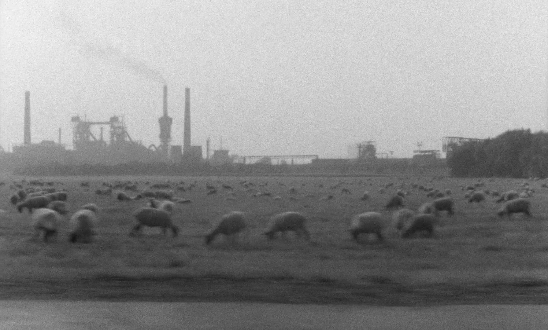 Alice in the Cities (1974) —  shot,  lighting