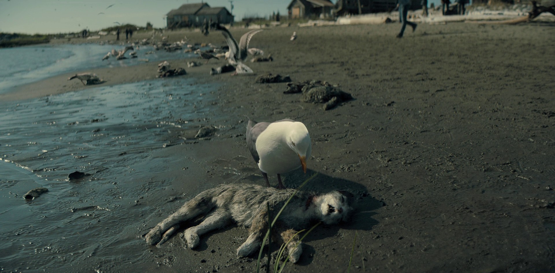 Book II: Psalms (2021) —  shot,  lighting