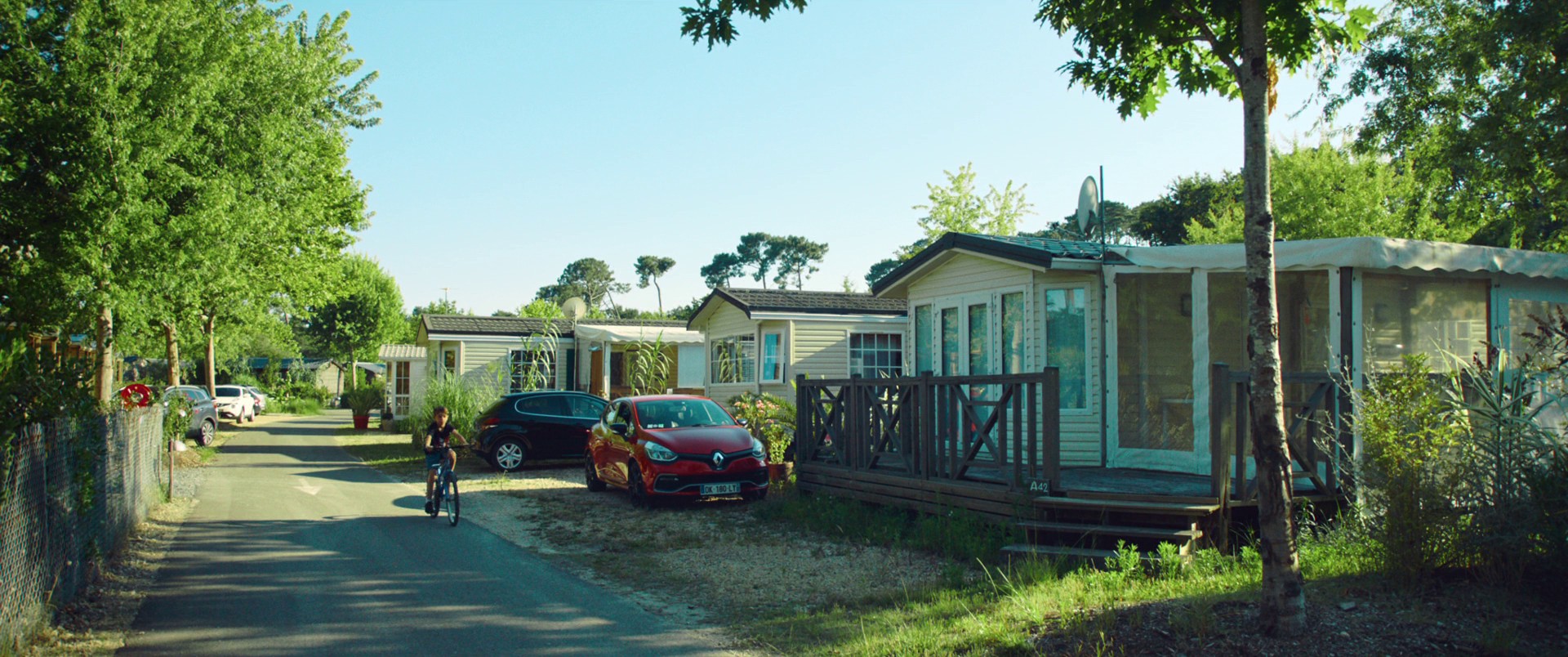 Year of the Shark (2022) —  shot,  lighting