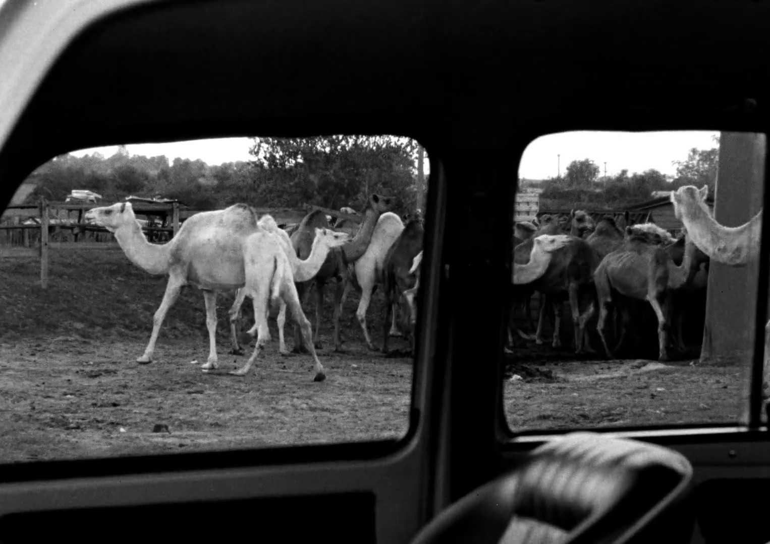 paramount (2025) —  shot,  lighting