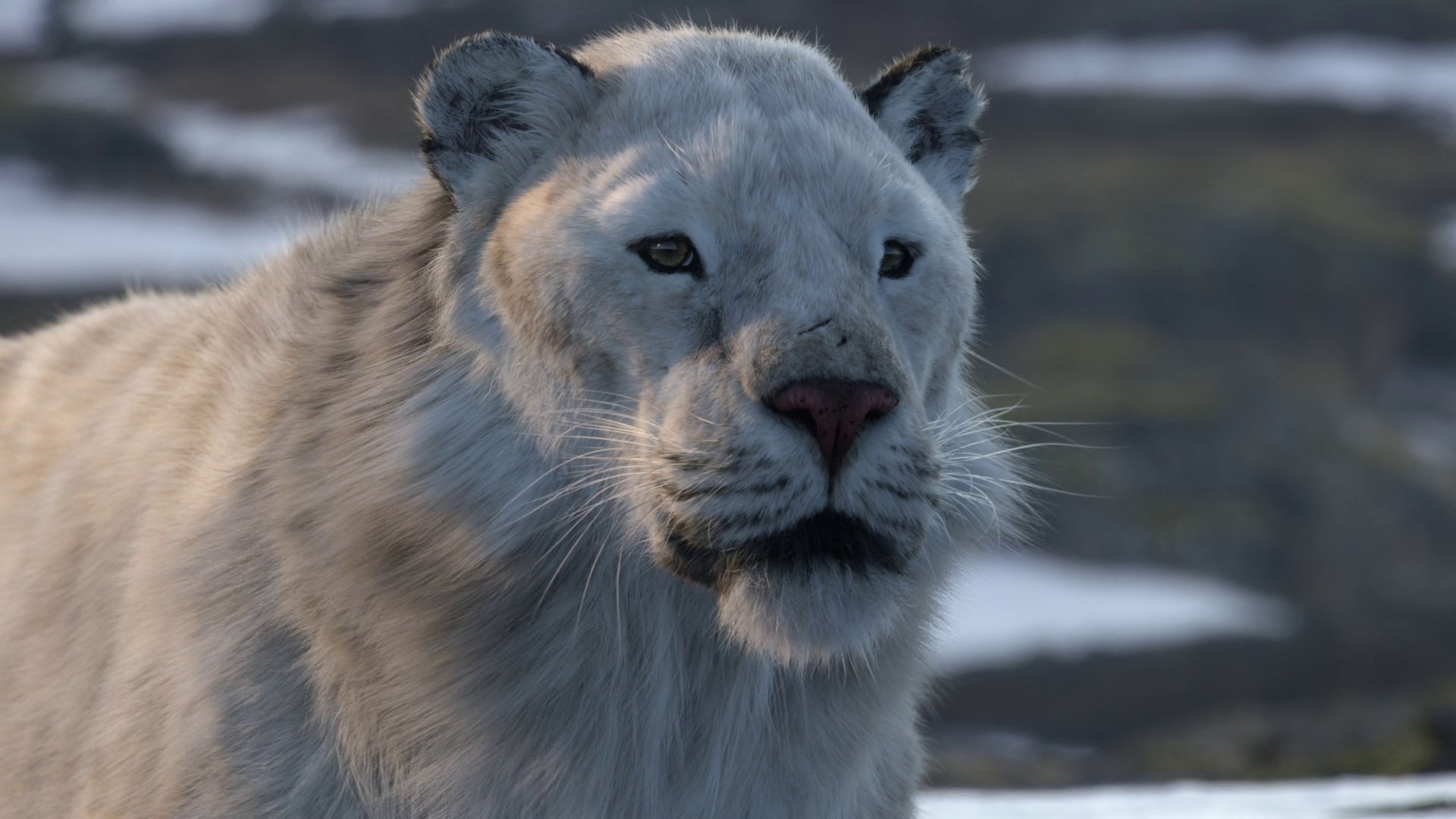 Age of Ice and Fire (2023) —  shot,  lighting