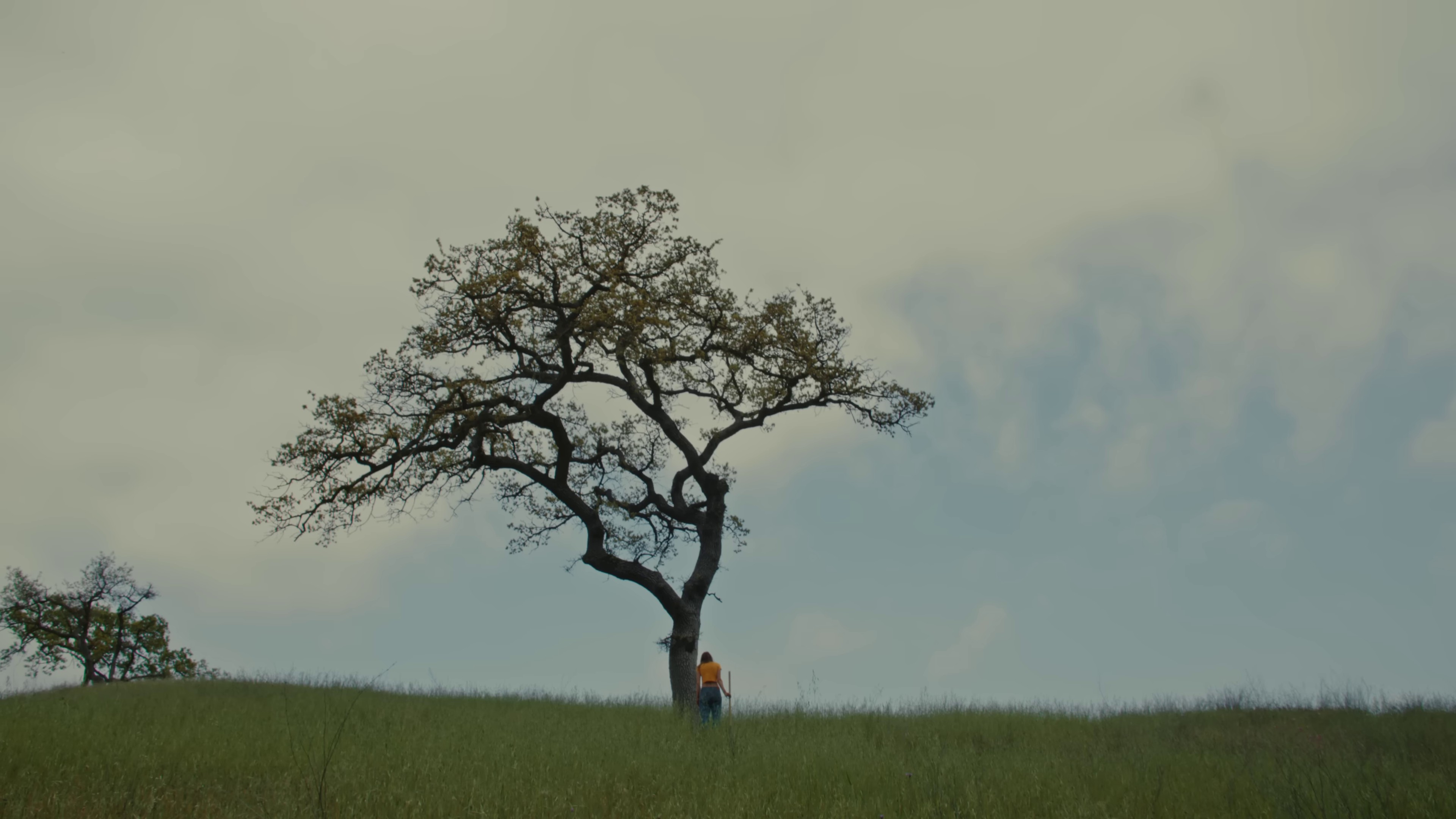 I Don't Wanna Dance (2024) —  shot,  lighting