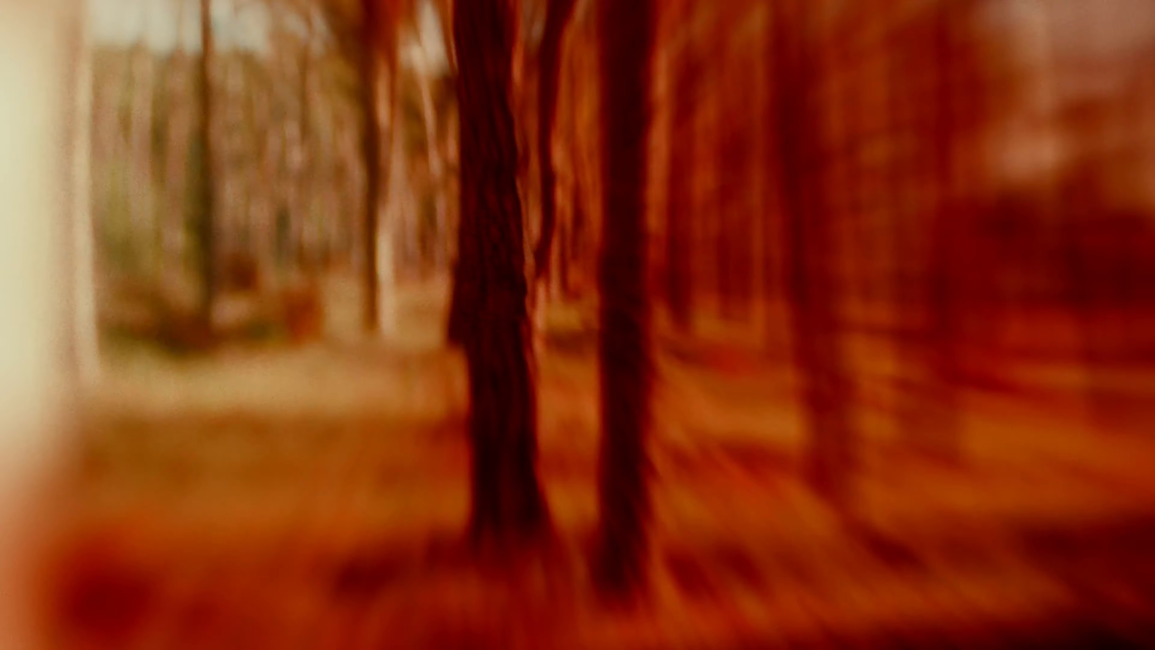 Kliešte (2023) —  shot,  lighting