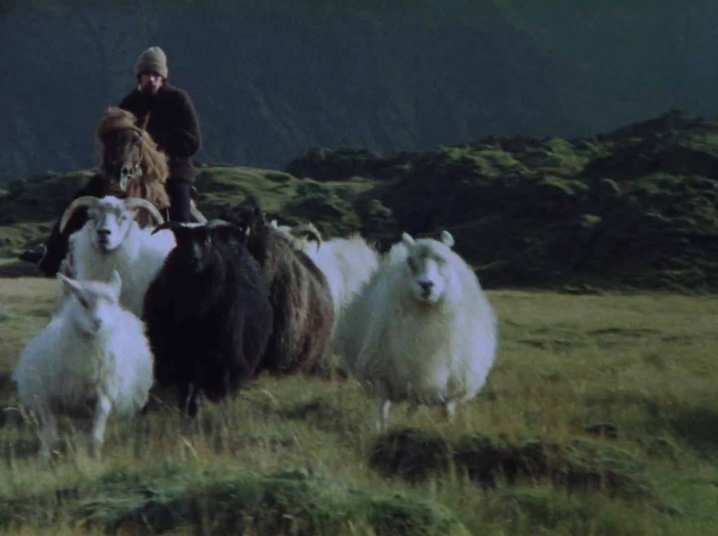 Sóley (1982) —  shot,  lighting