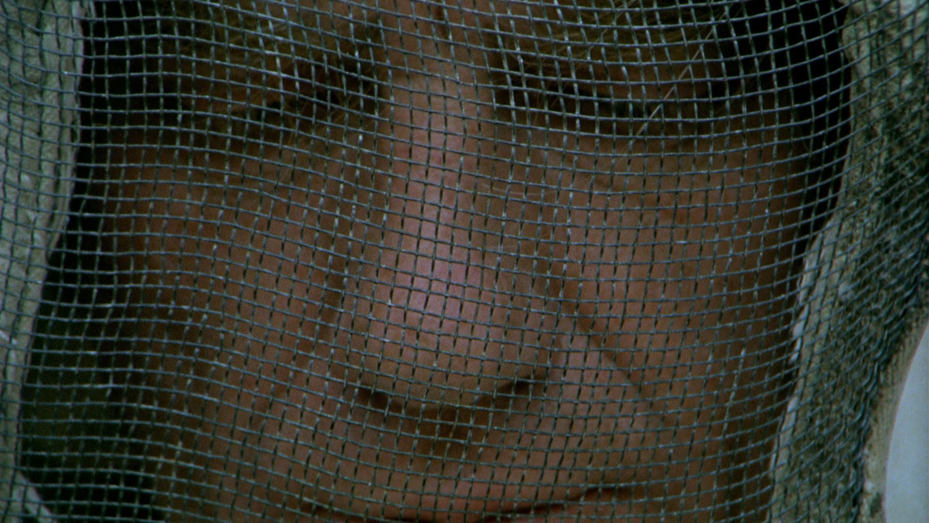 The Spirit of the Beehive (1975) —  shot,  lighting