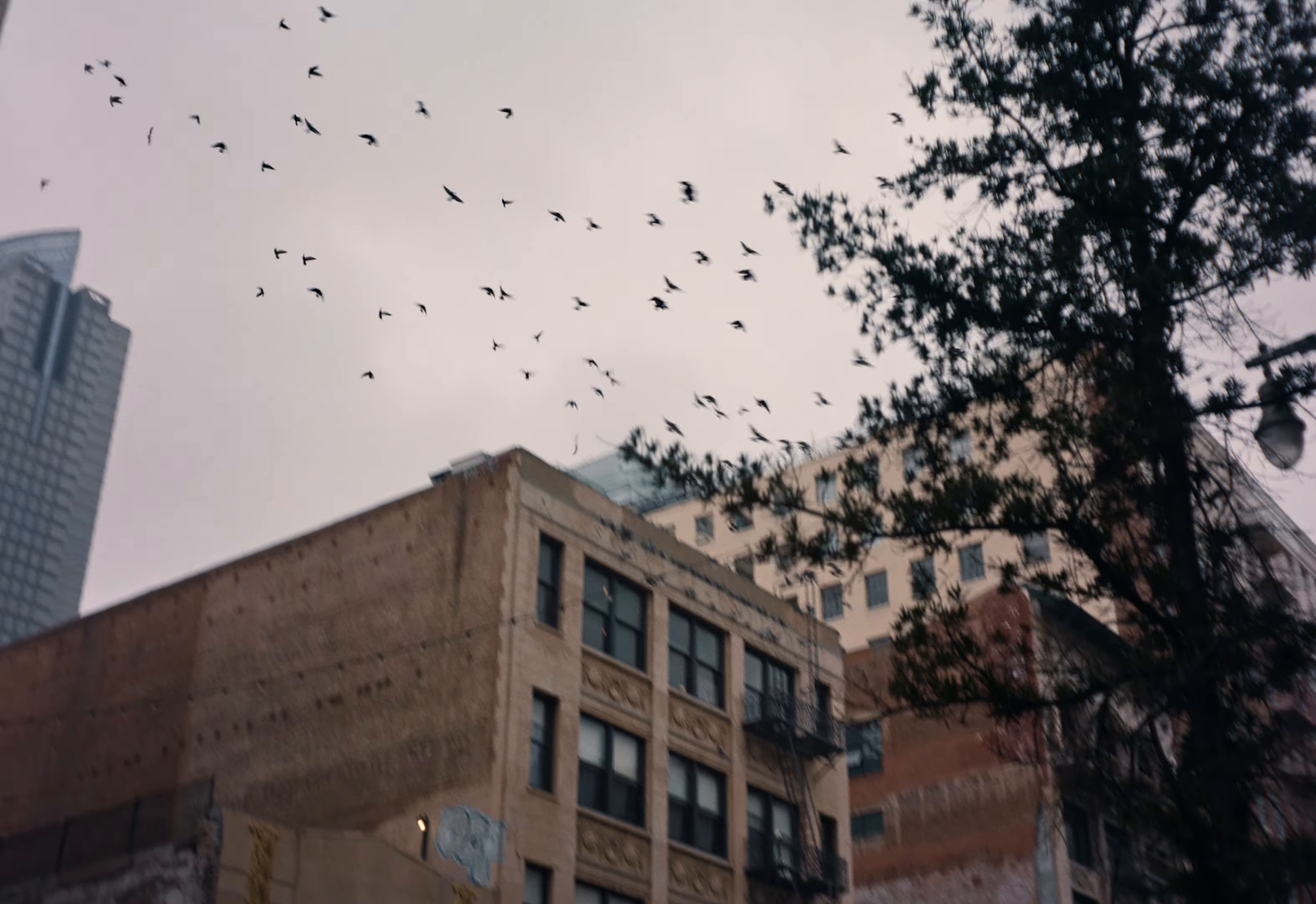 20teens (2026) —  shot,  lighting