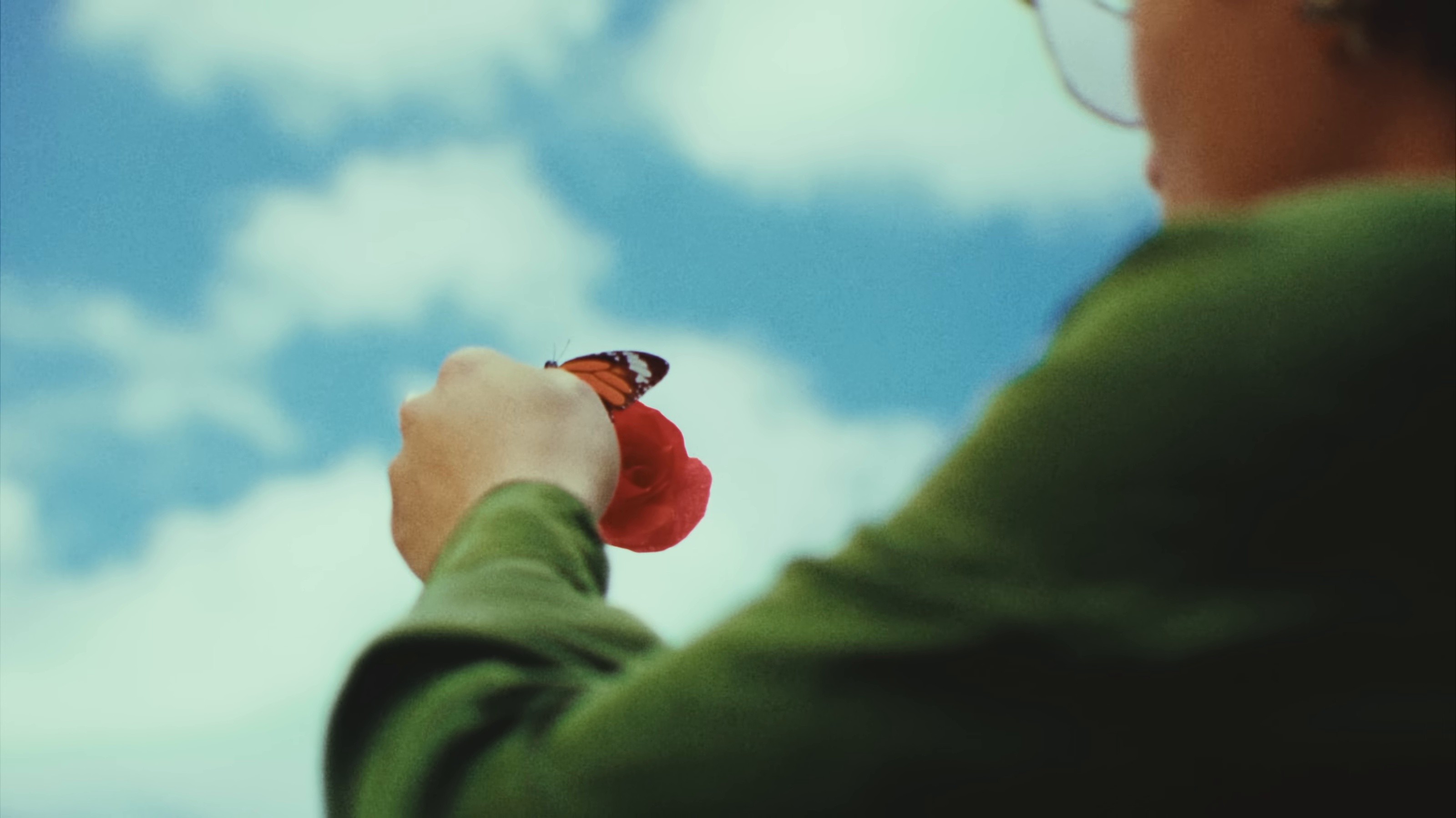 Dandelion (2025) —  shot,  lighting