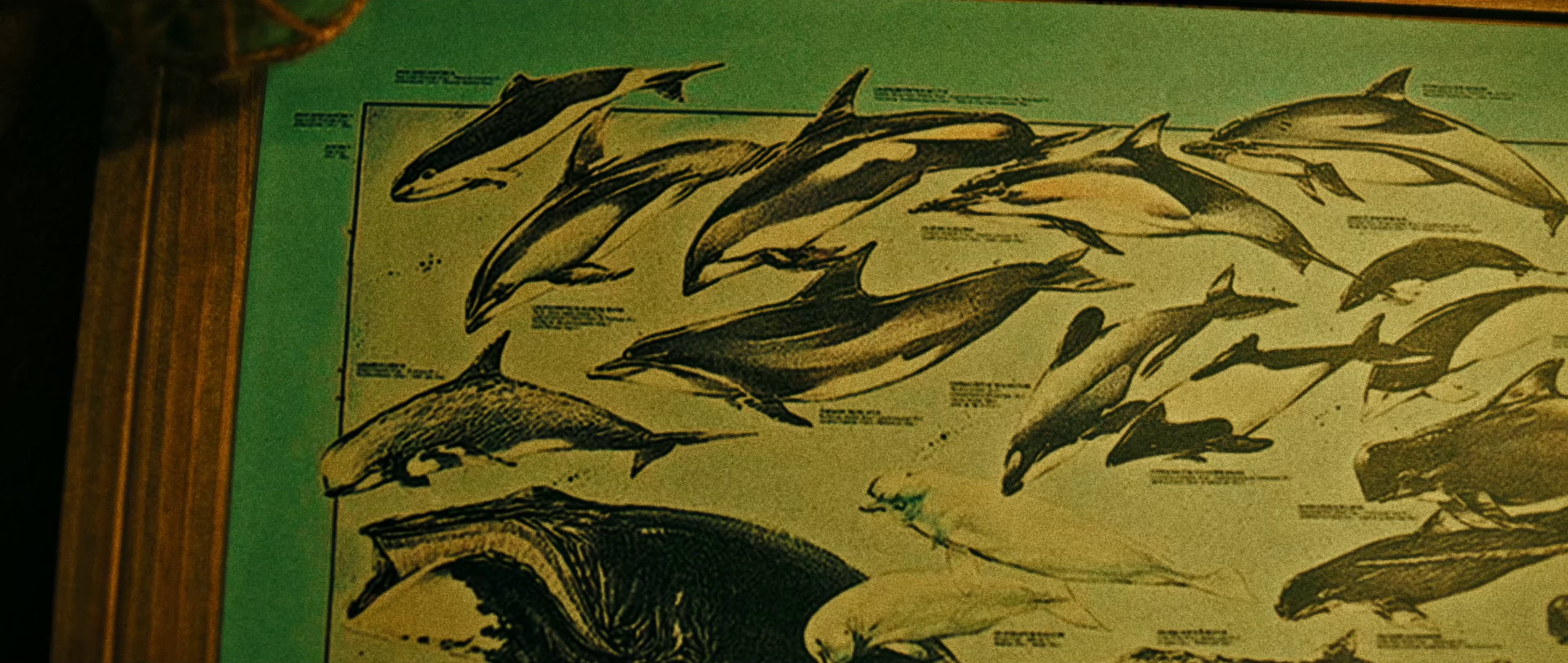 Sweet Guilty Pleasure (2020) —  shot,  lighting