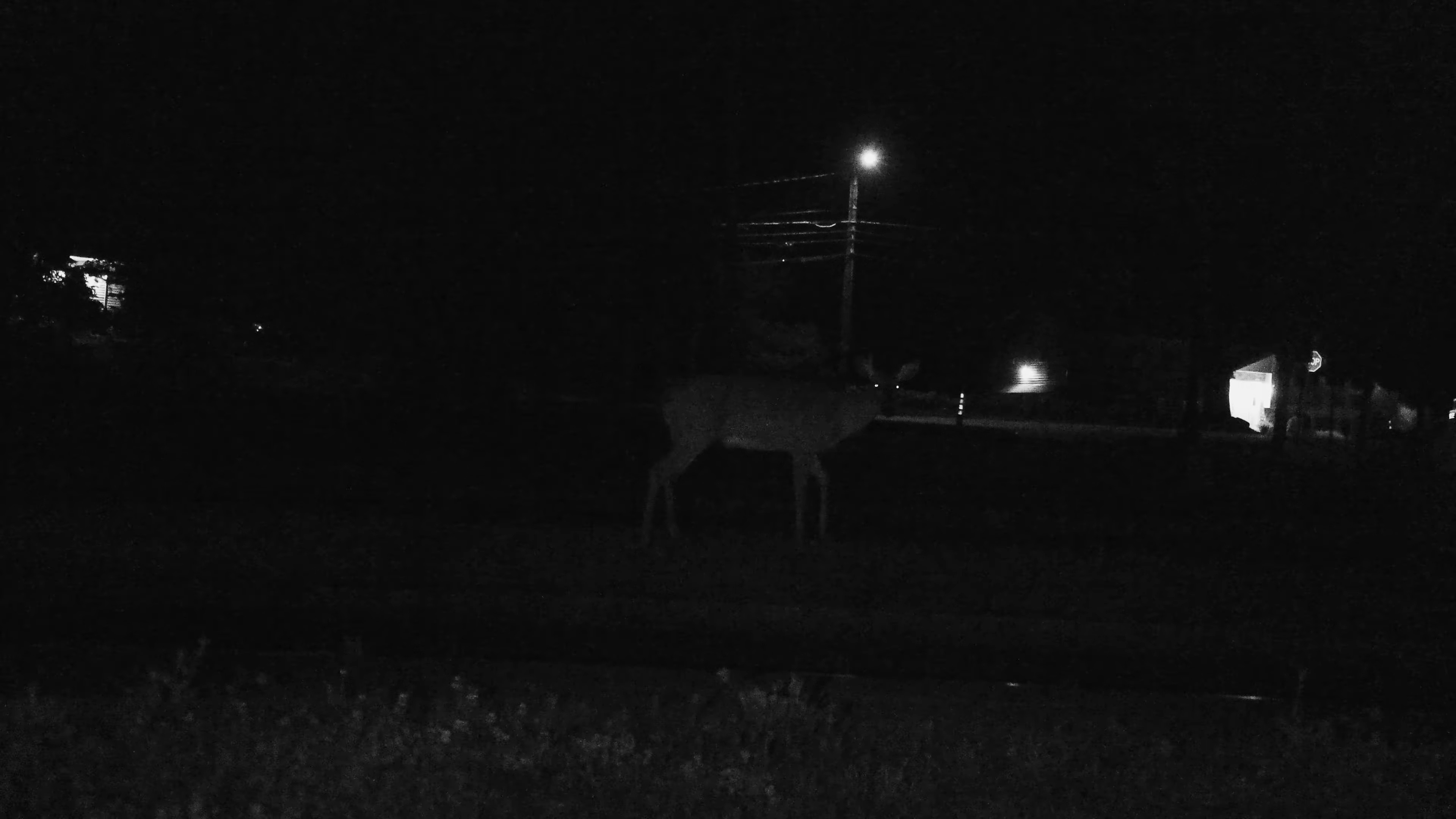 As Tendrils of Smoke (2024) —  shot,  lighting