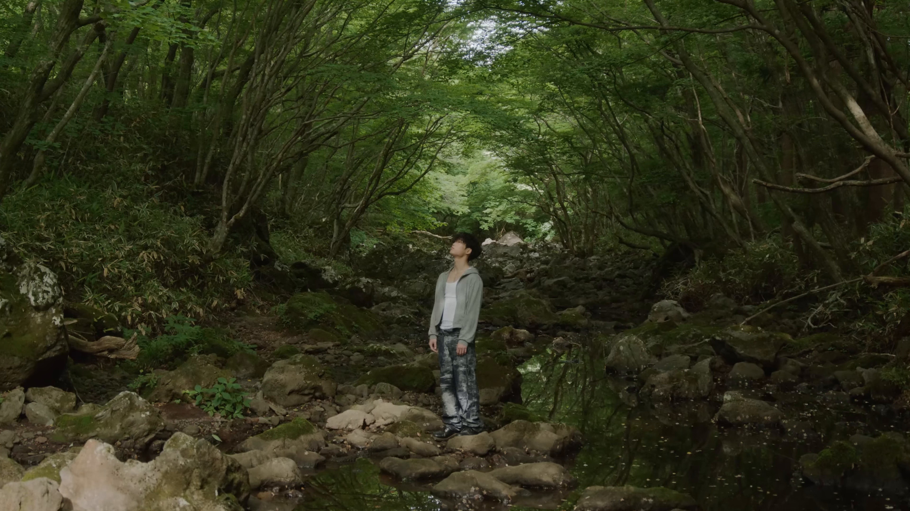 피가 모자라  (2025) —  shot,  lighting