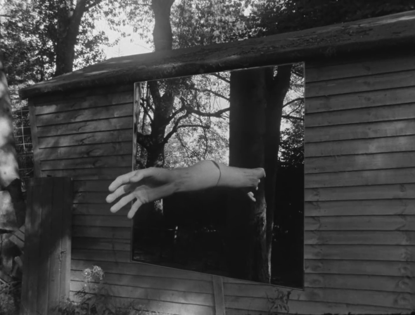 Knock Out Ginger (2014) —  shot,  lighting