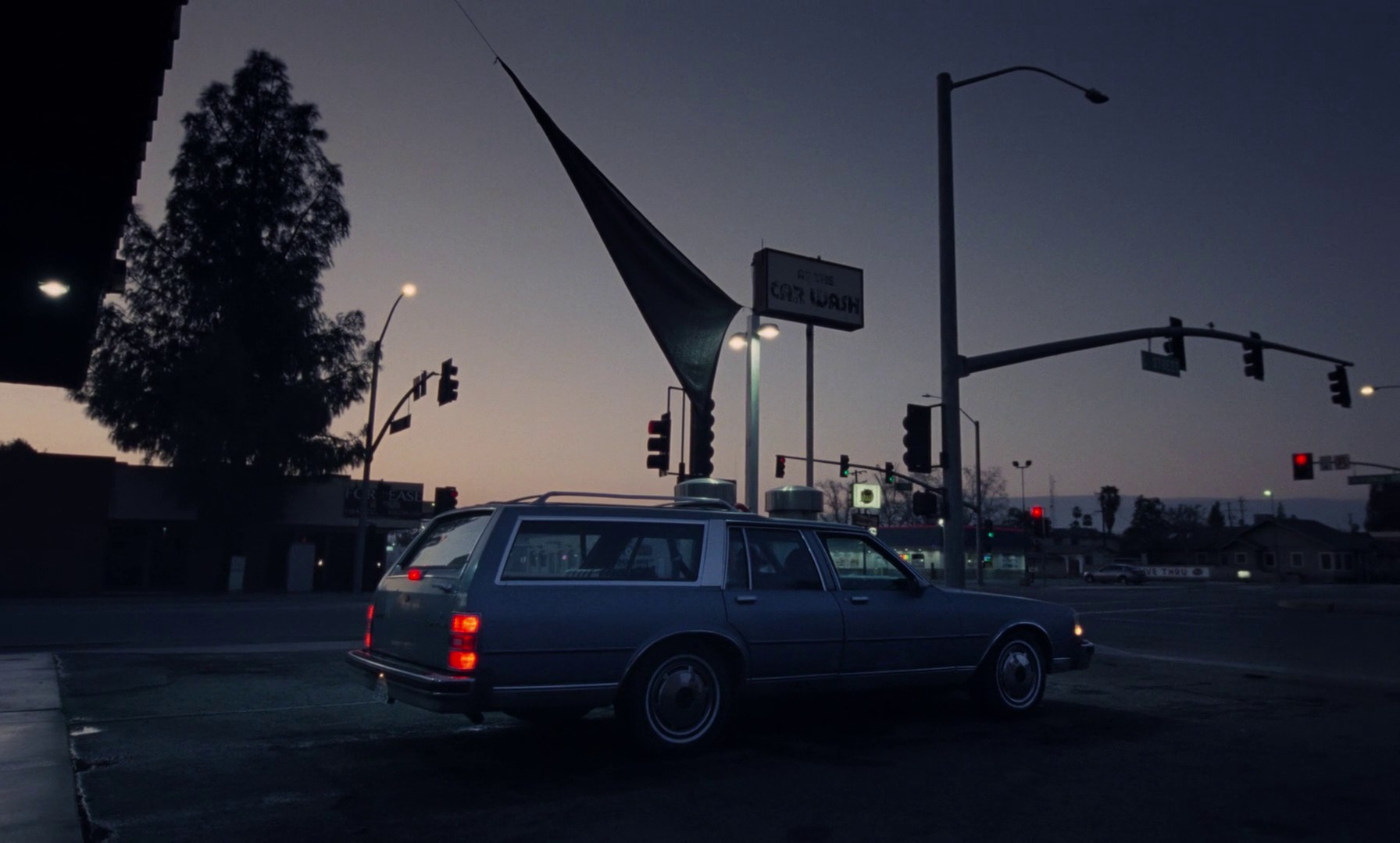 Regrow (2019) —  shot,  lighting