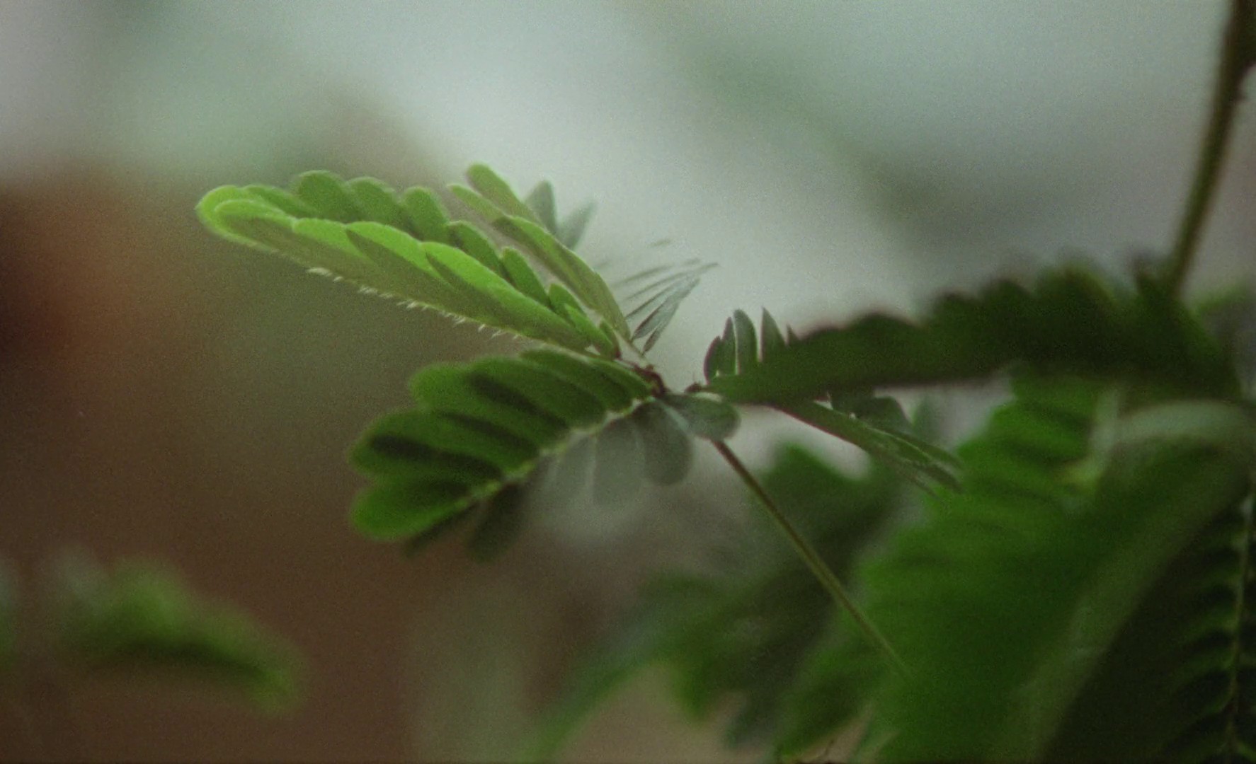 Tocarte (2021) —  shot,  lighting