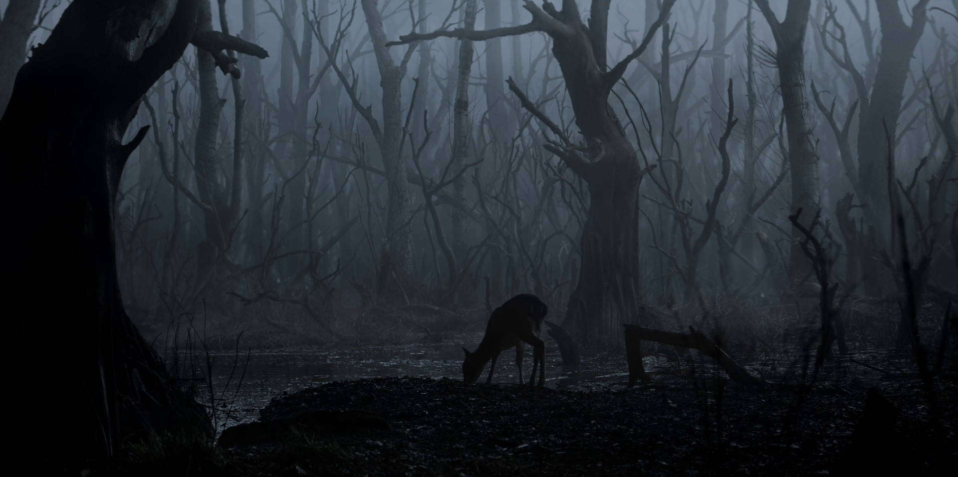 The End's Beginning (2019) —  shot,  lighting