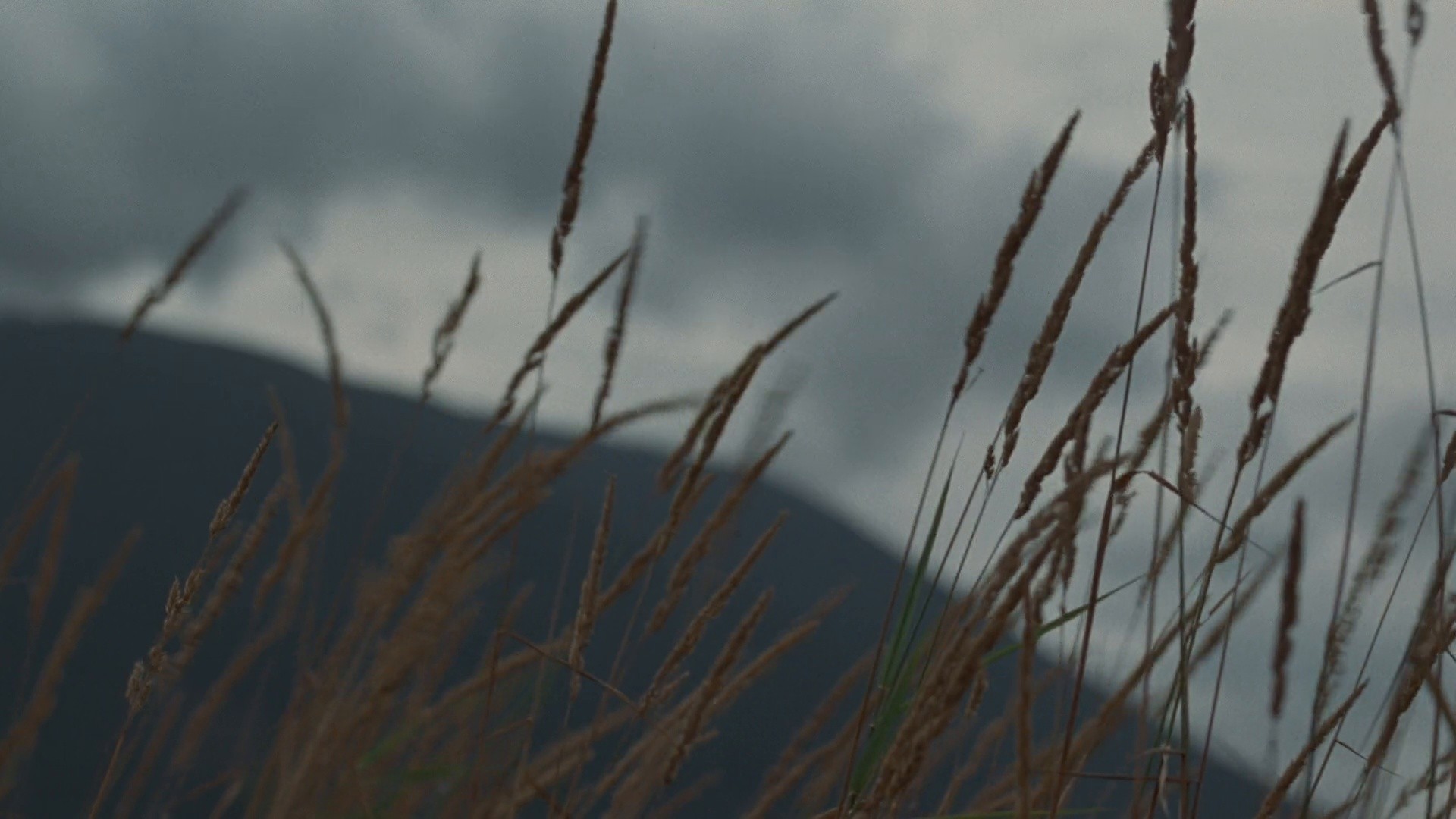 Holocene (2026) —  shot,  lighting