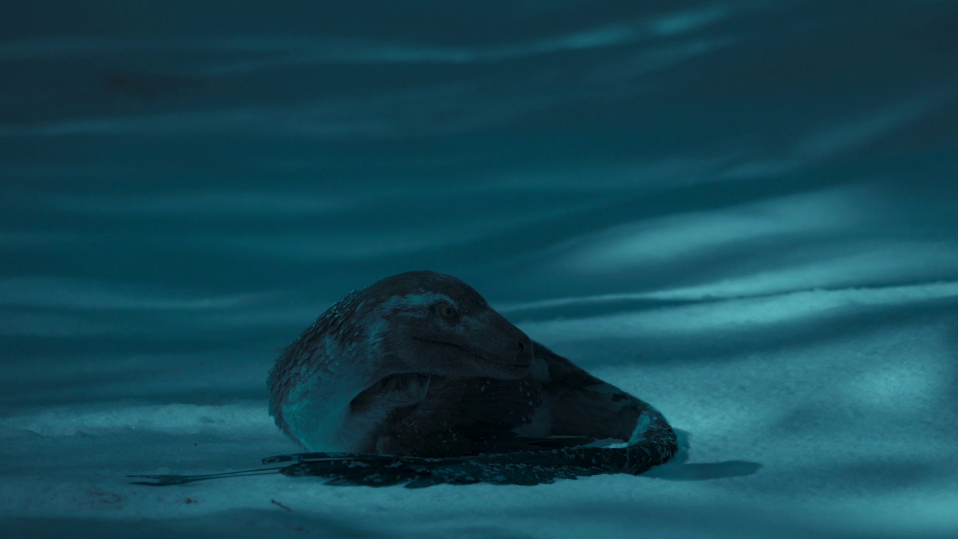 Ice Worlds (2022) —  shot,  lighting