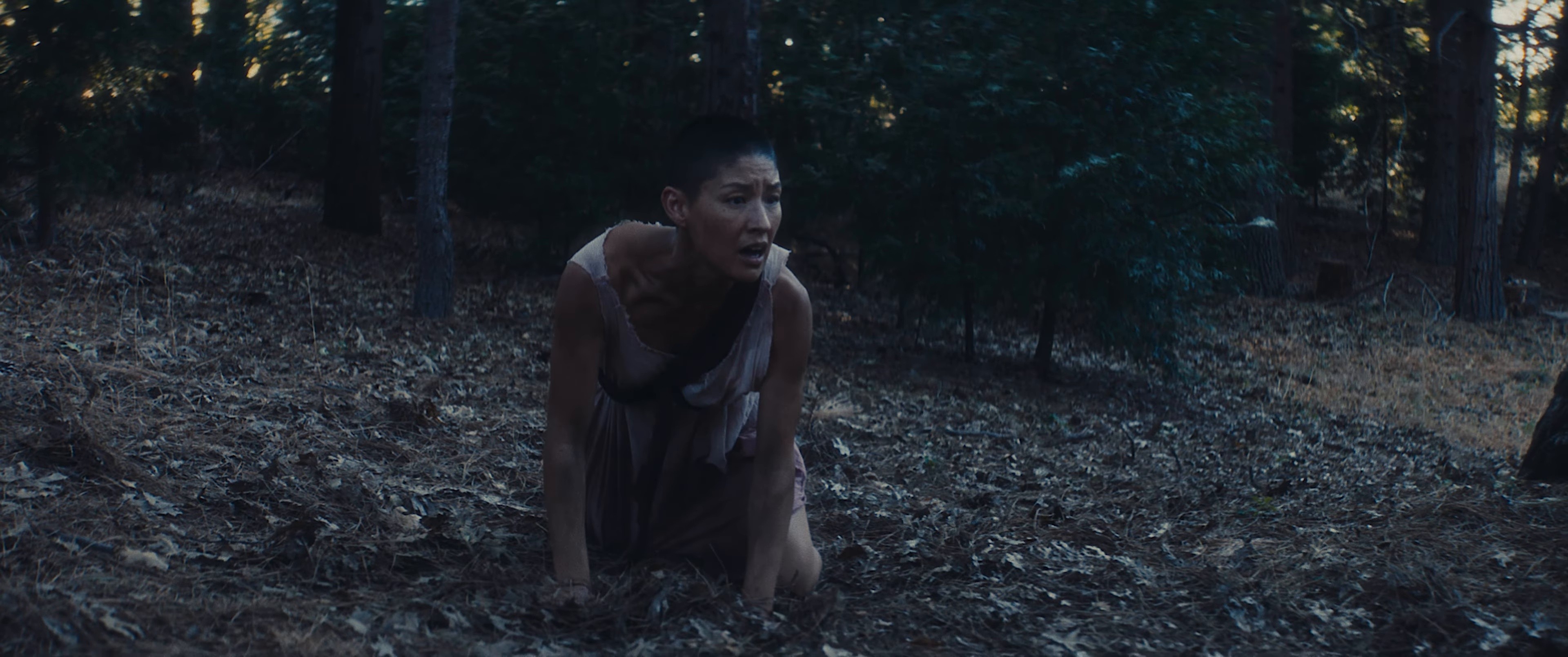 Hole  (2025) —  shot,  lighting